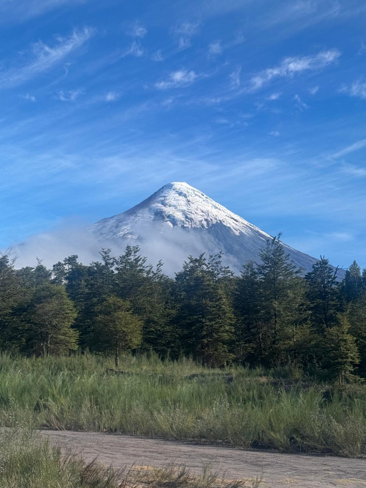 WhatsApp Image 2026-02-27 at 08.17.41 (2).jpeg