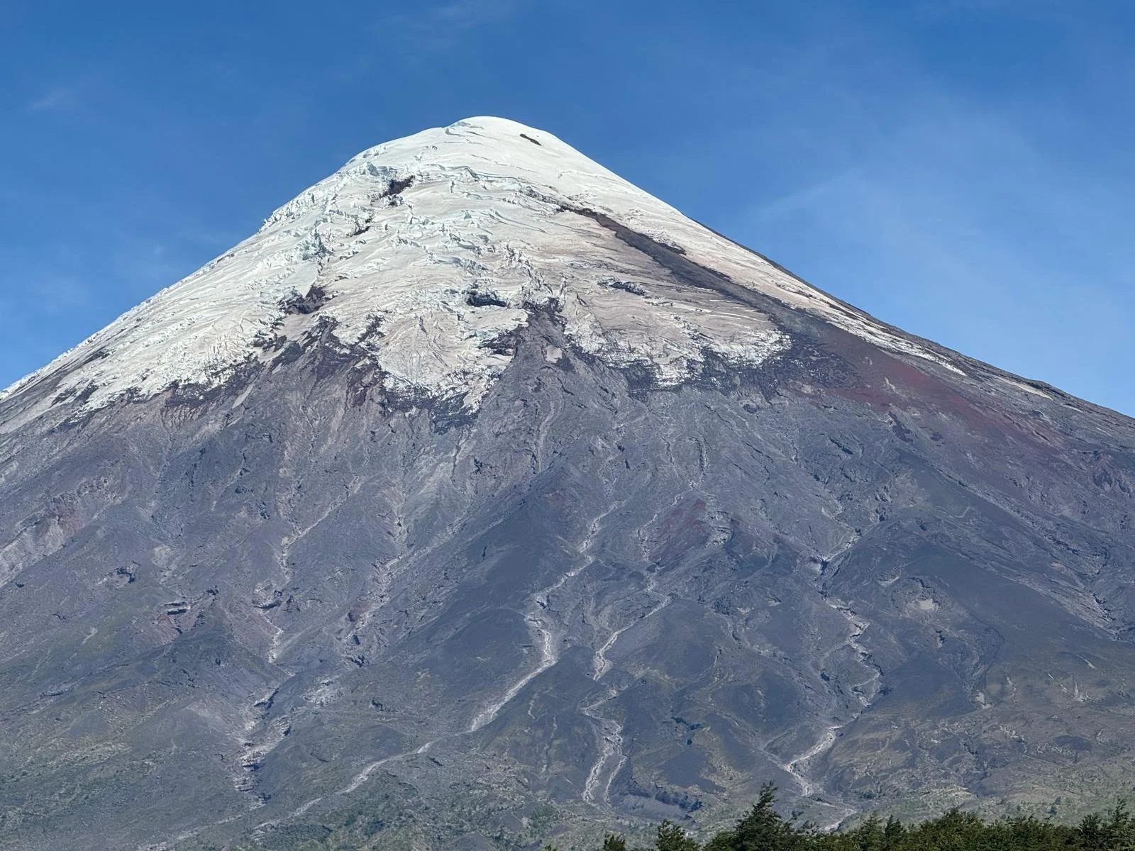 WhatsApp Image 2026-02-27 at 08.19.16.jpeg