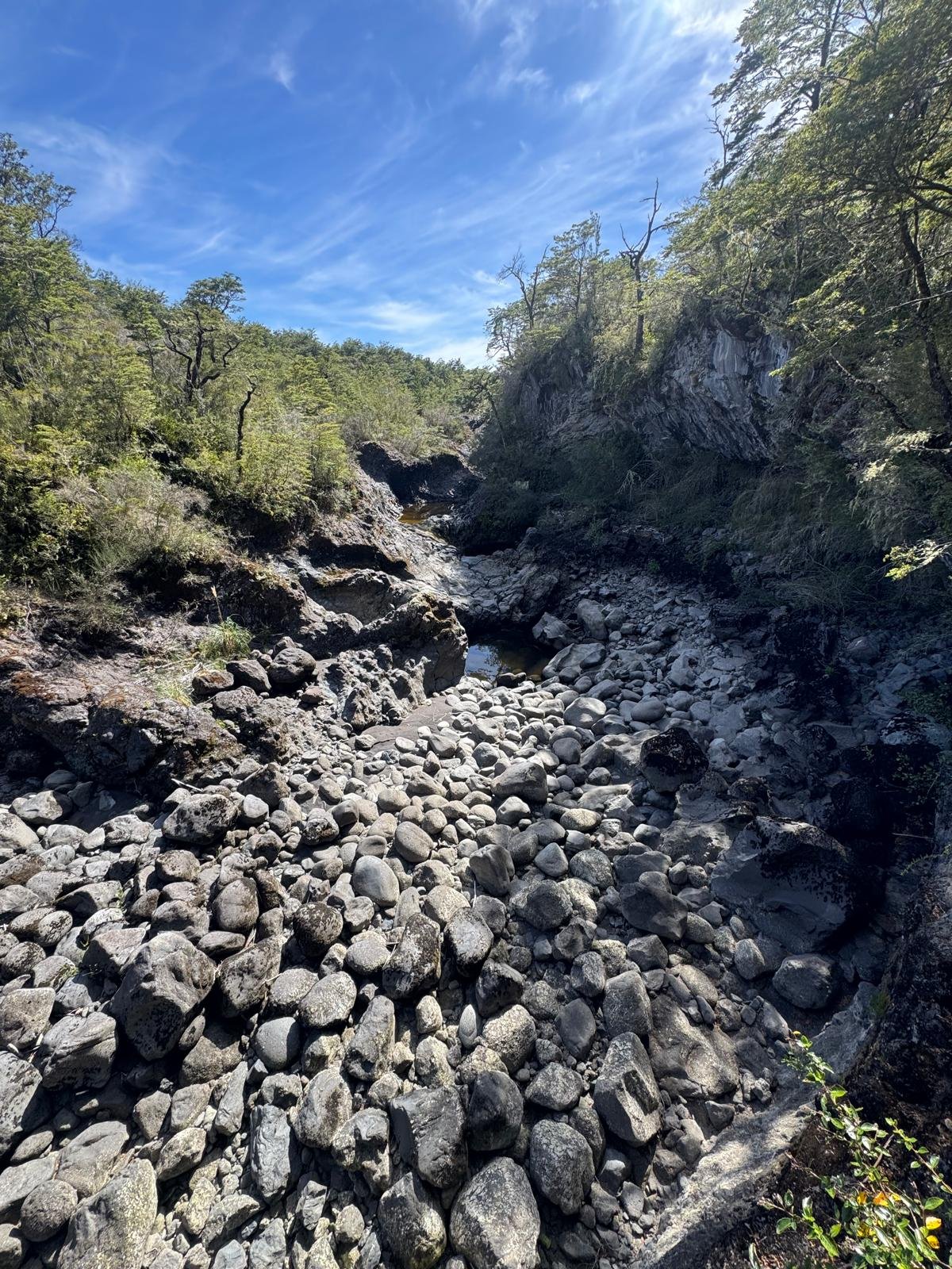 WhatsApp Image 2026-02-27 at 08.21.04 (2).jpeg