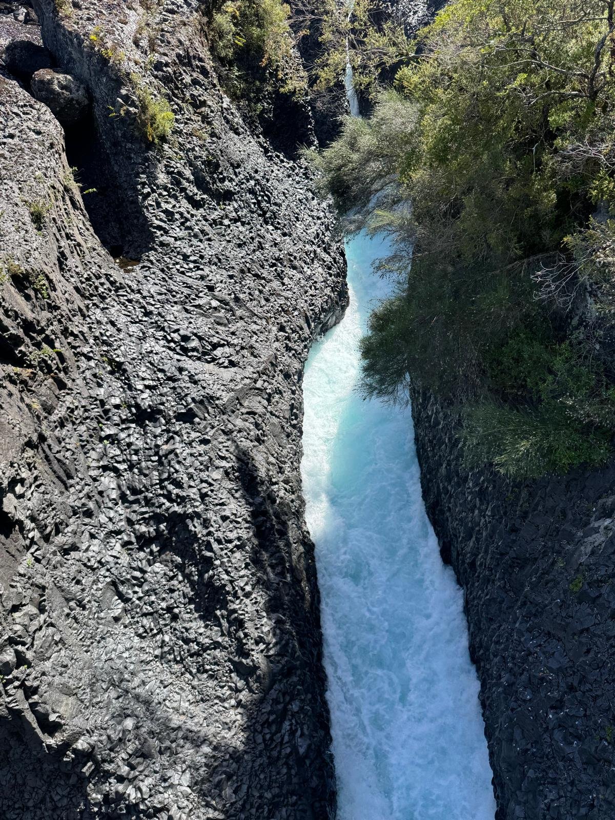 WhatsApp Image 2026-02-27 at 08.21.05 (1).jpeg