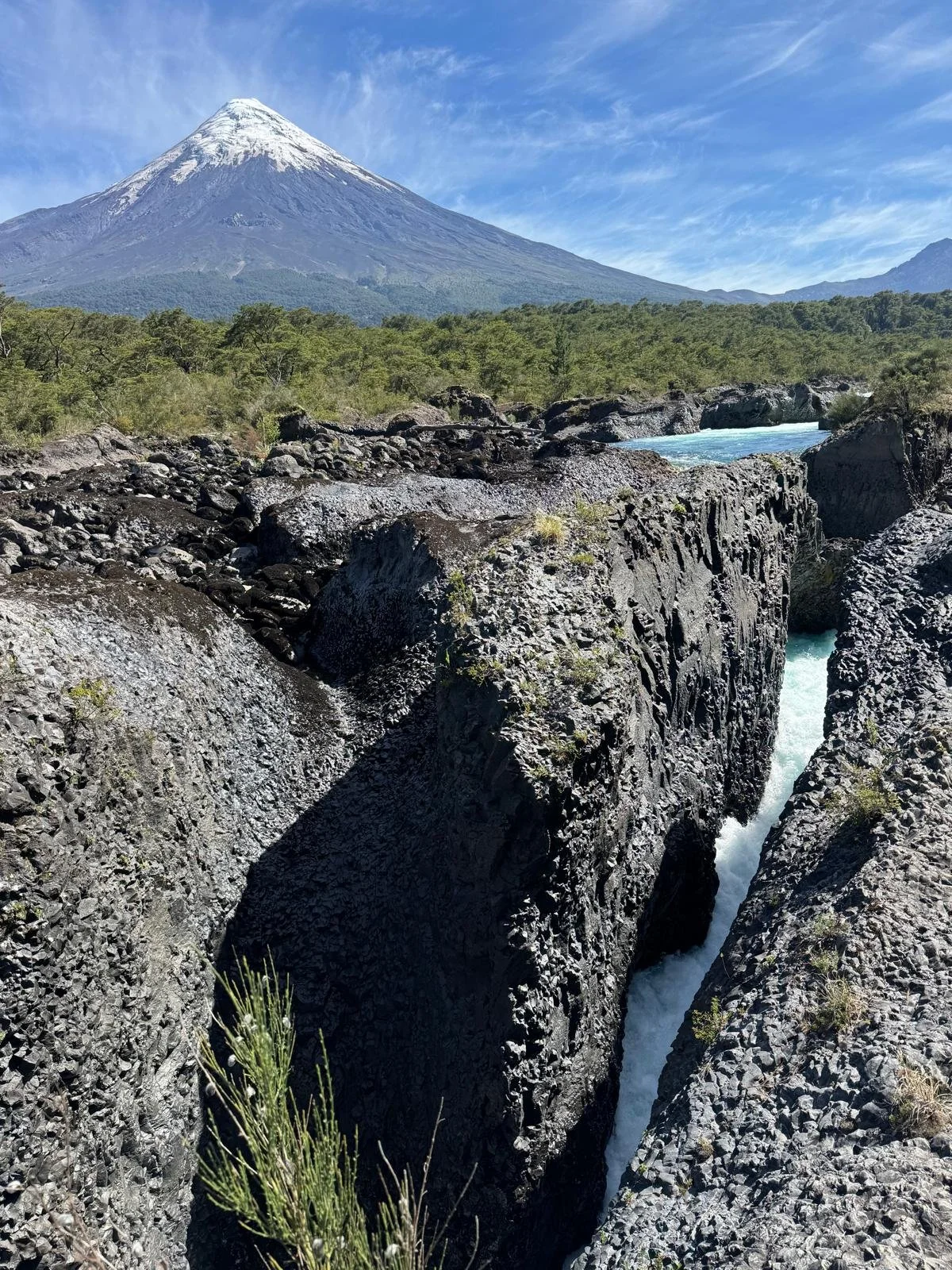 WhatsApp Image 2026-02-27 at 08.21.05 (2).jpeg