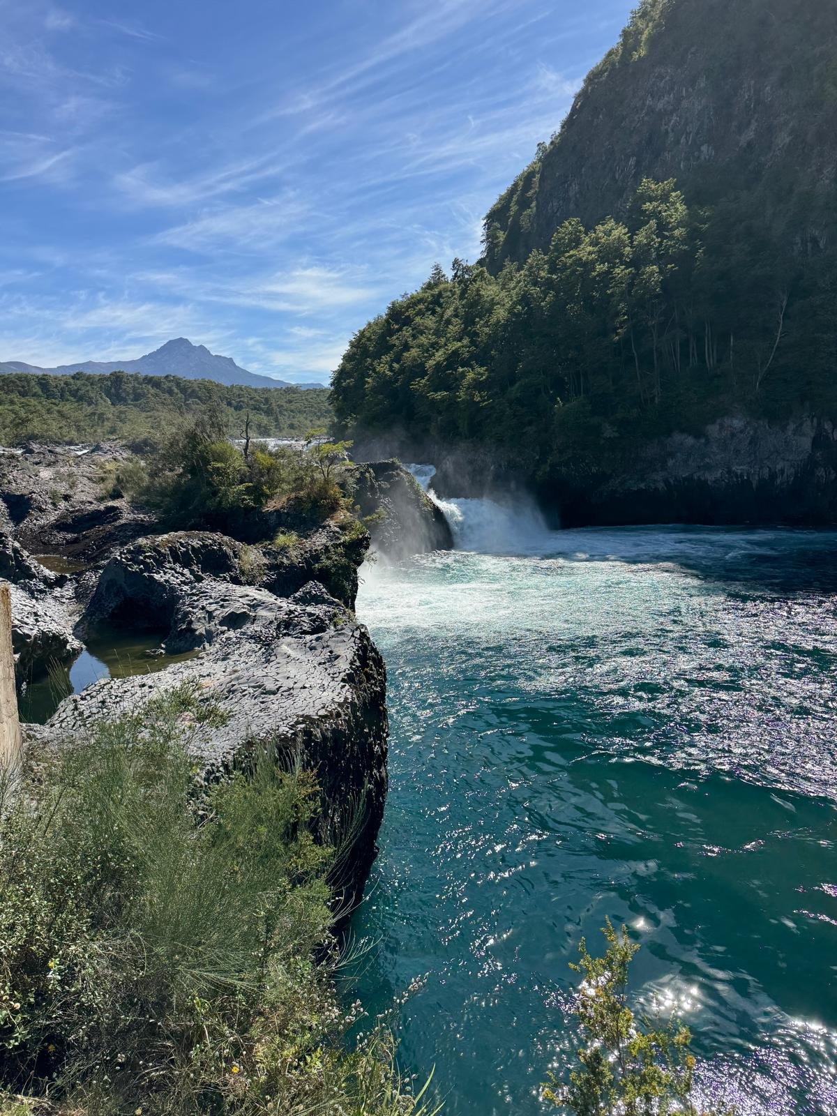 WhatsApp Image 2026-02-27 at 08.21.05 (3).jpeg