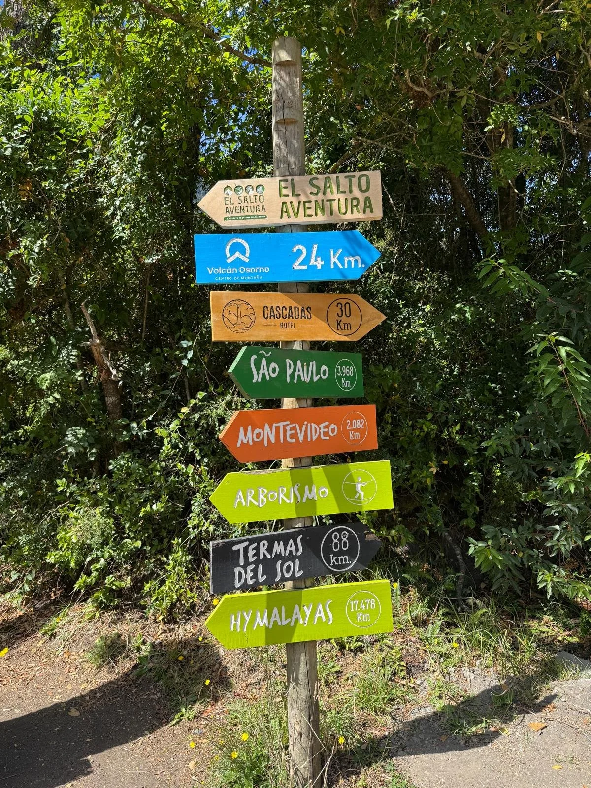 WhatsApp Image 2026-02-27 at 08.21.07.jpeg