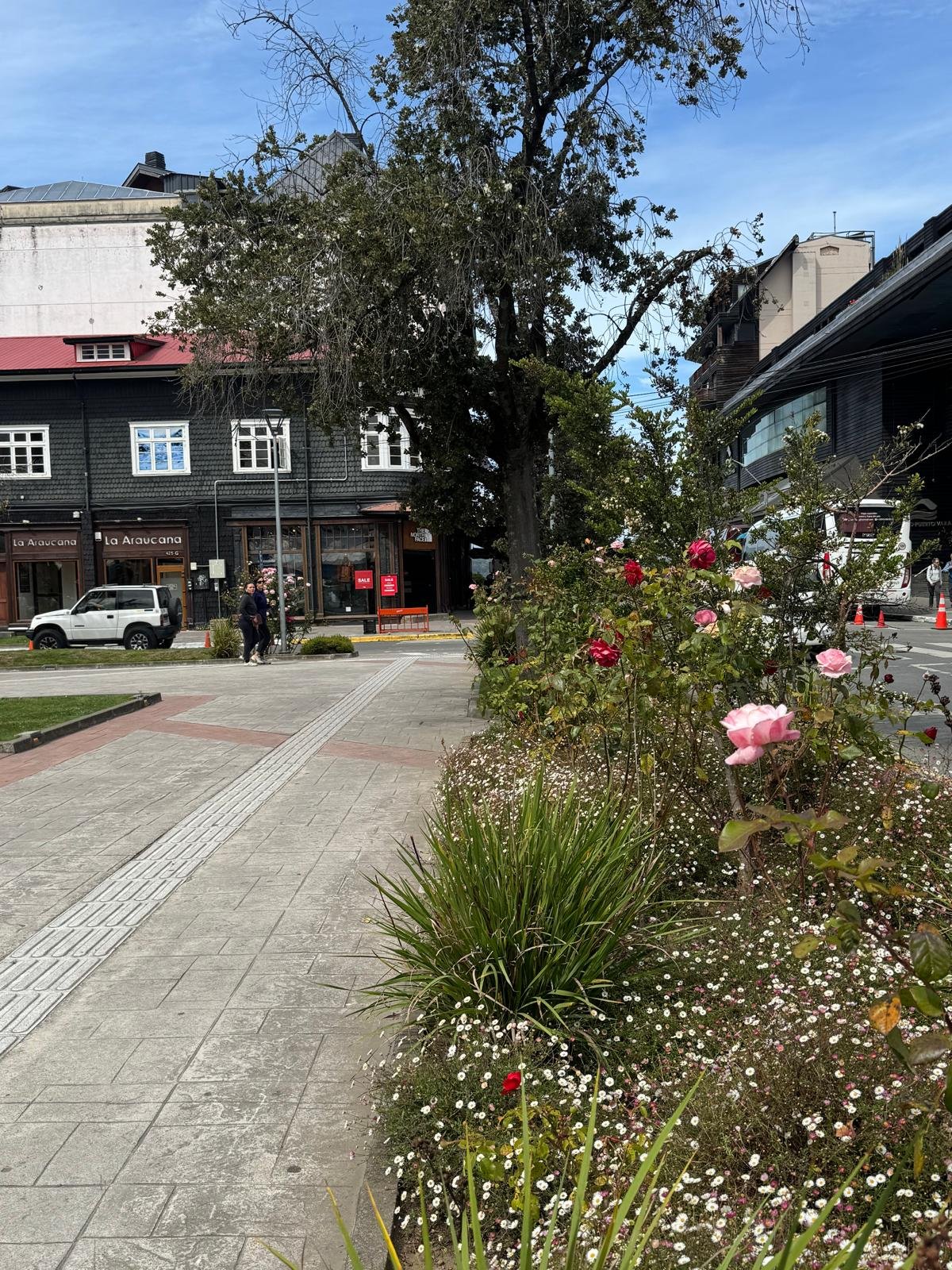 WhatsApp Image 2026-02-27 at 08.23.07 (1).jpeg