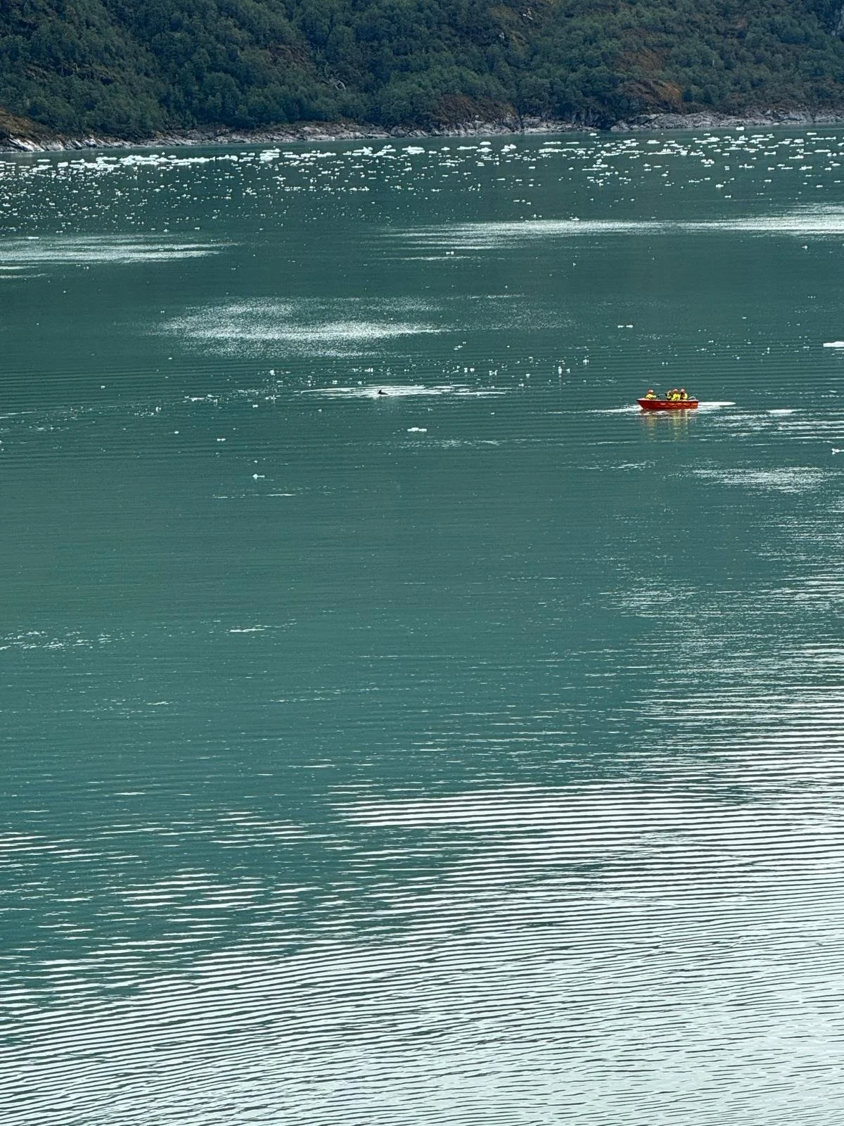 WhatsApp Image 2026-02-28 at 13.31.31 (1).jpeg