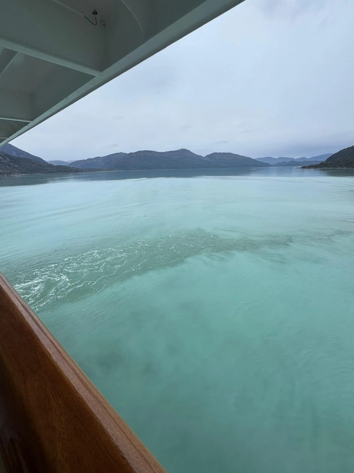 WhatsApp Image 2026-02-28 at 13.31.32.jpeg