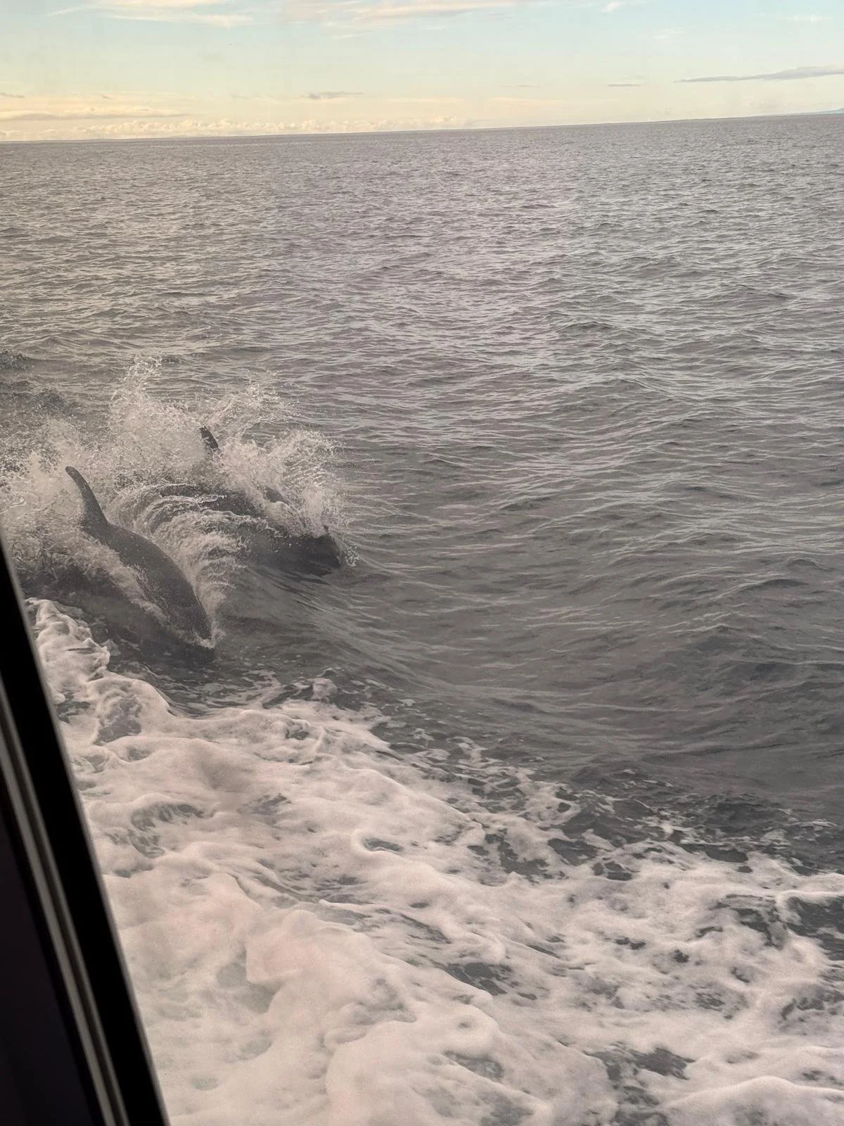 WhatsApp Image 2026-03-03 at 03.29.55.jpeg