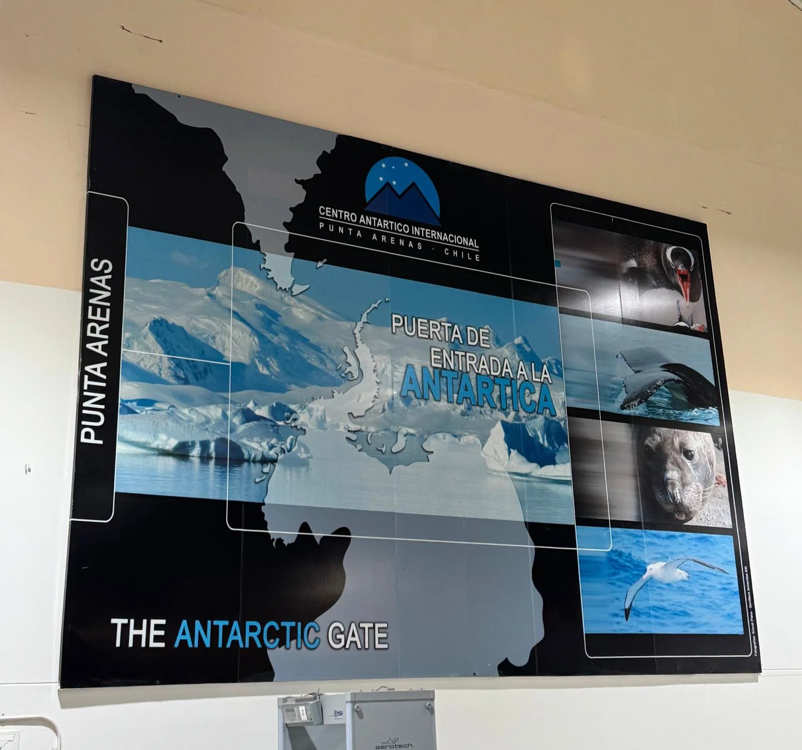 WhatsApp Image 2026-03-03 at 03.29.57 (1).jpeg