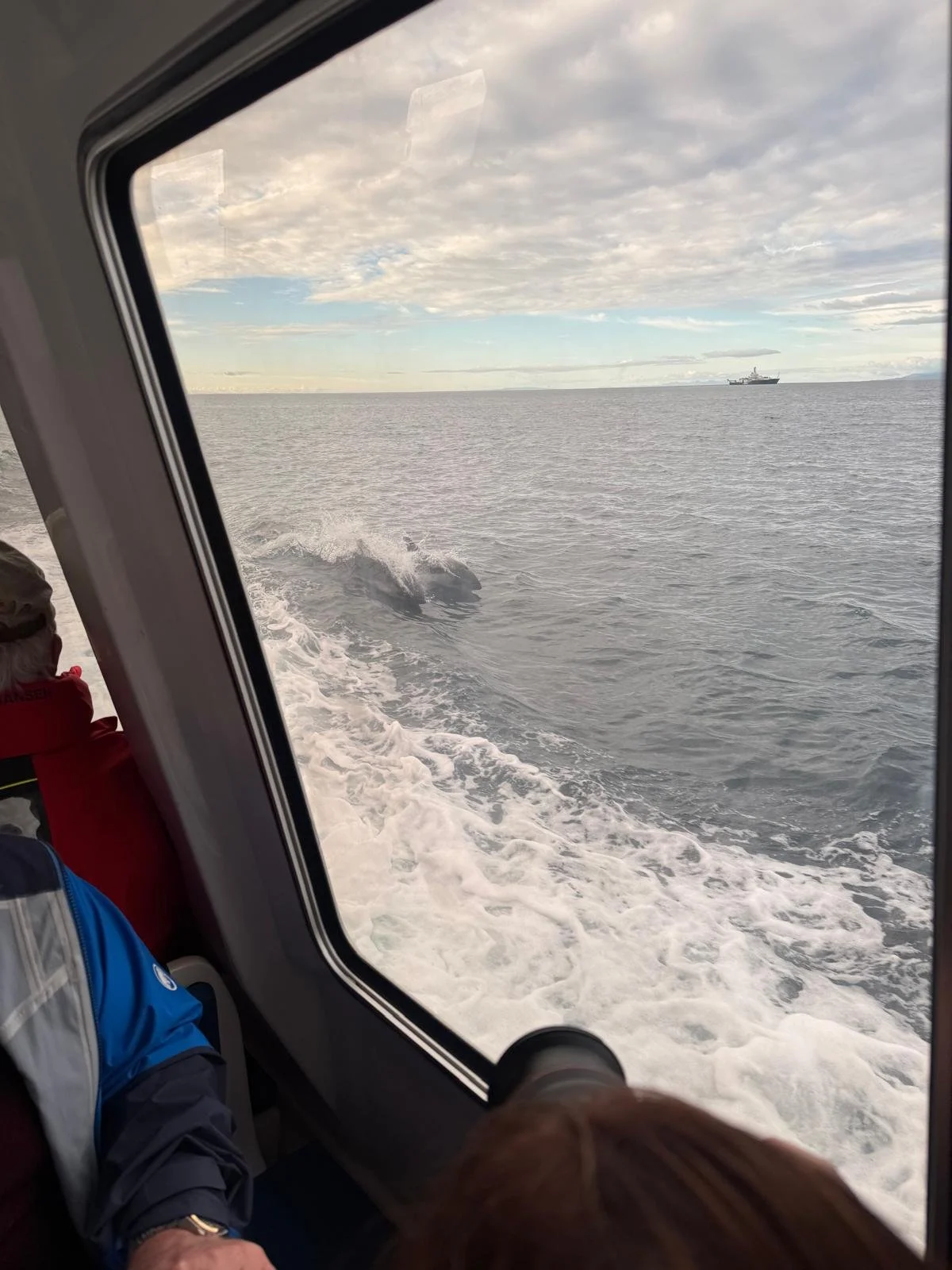 WhatsApp Image 2026-03-03 at 03.29.56 (1).jpeg