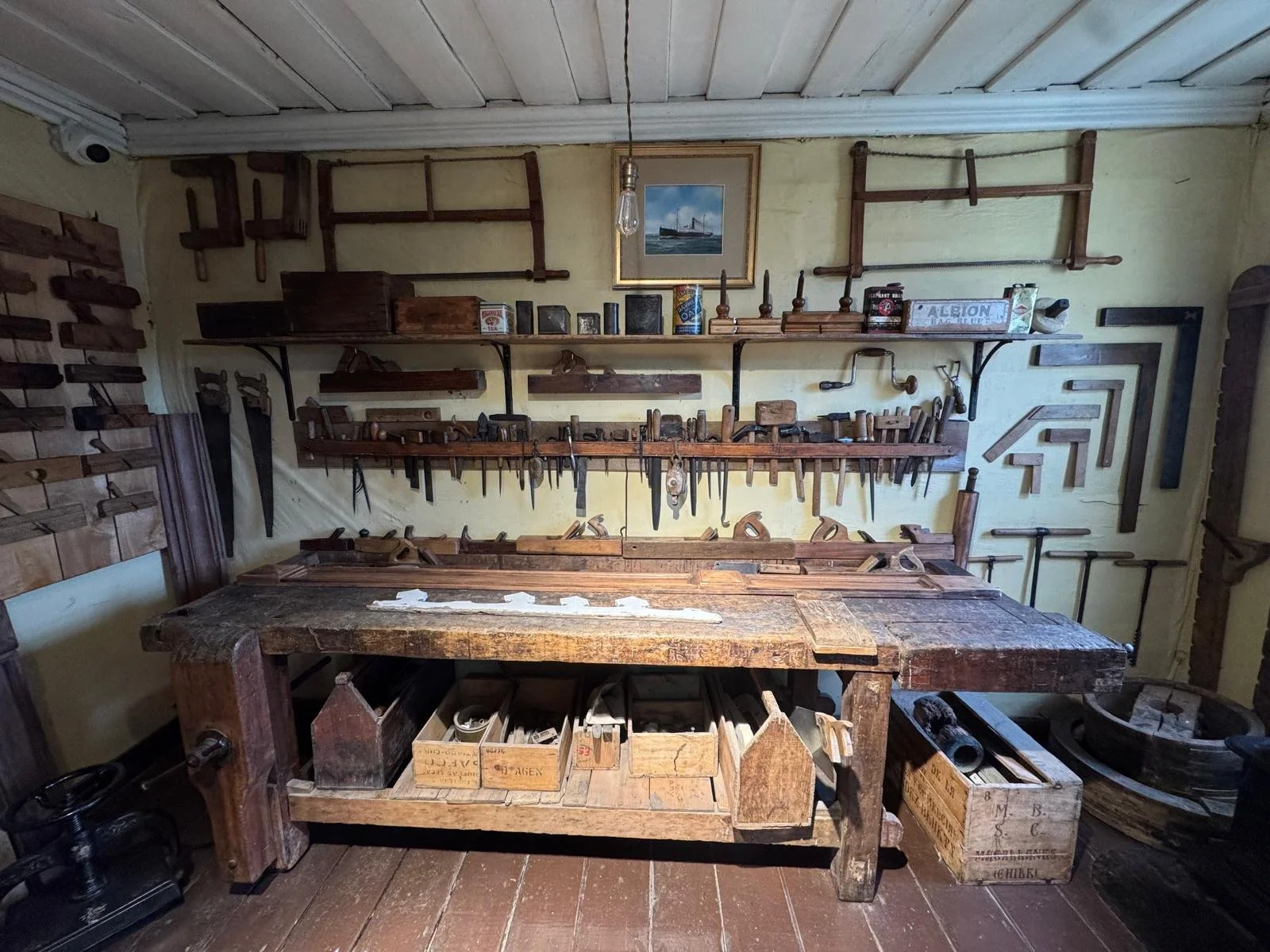 WhatsApp Image 2026-03-03 at 03.32.19.jpeg