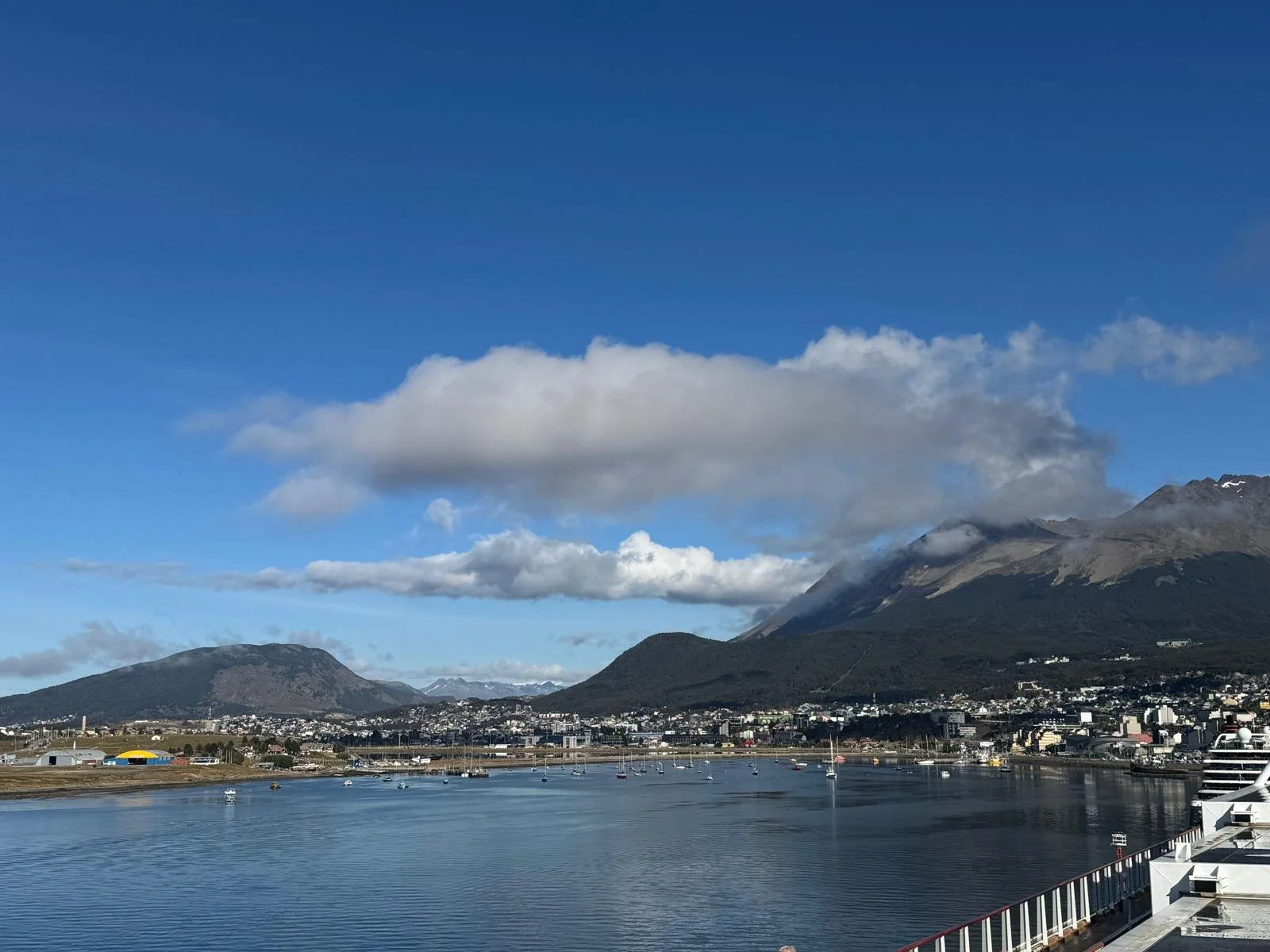 WhatsApp Image 2026-03-04 at 05.04.42 (3).jpeg