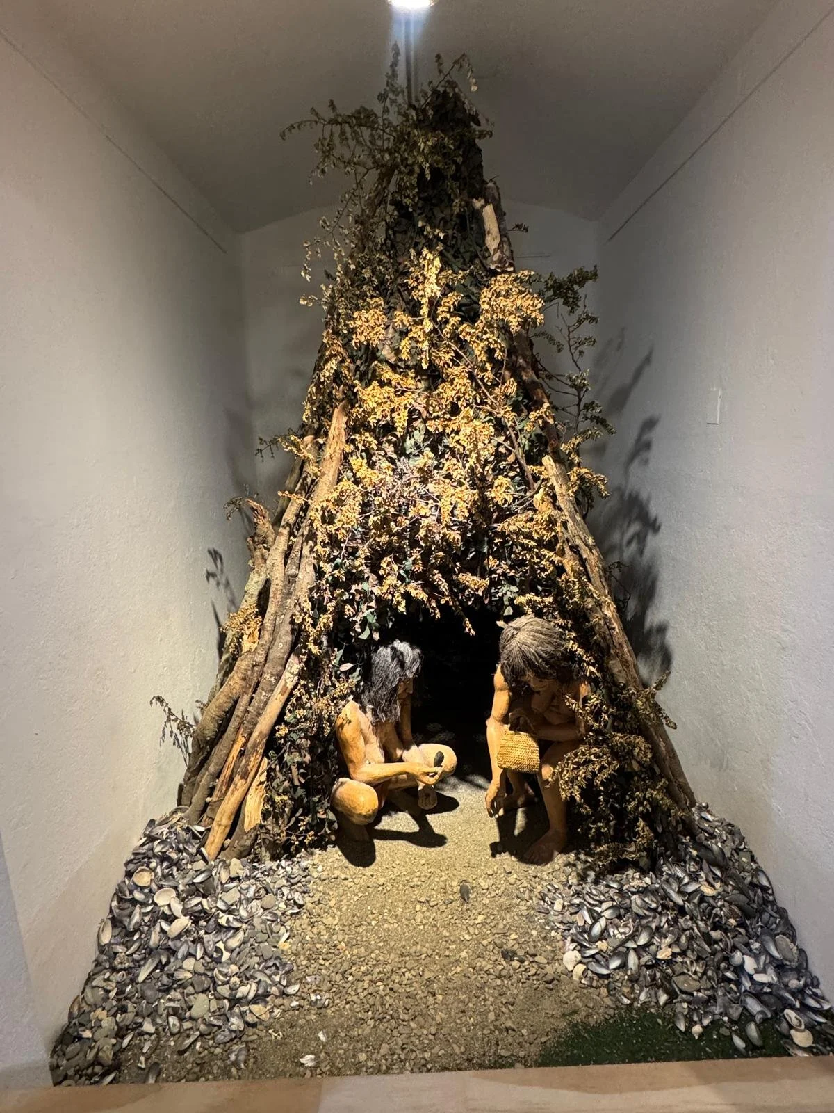 WhatsApp Image 2026-03-04 at 05.13.06.jpeg