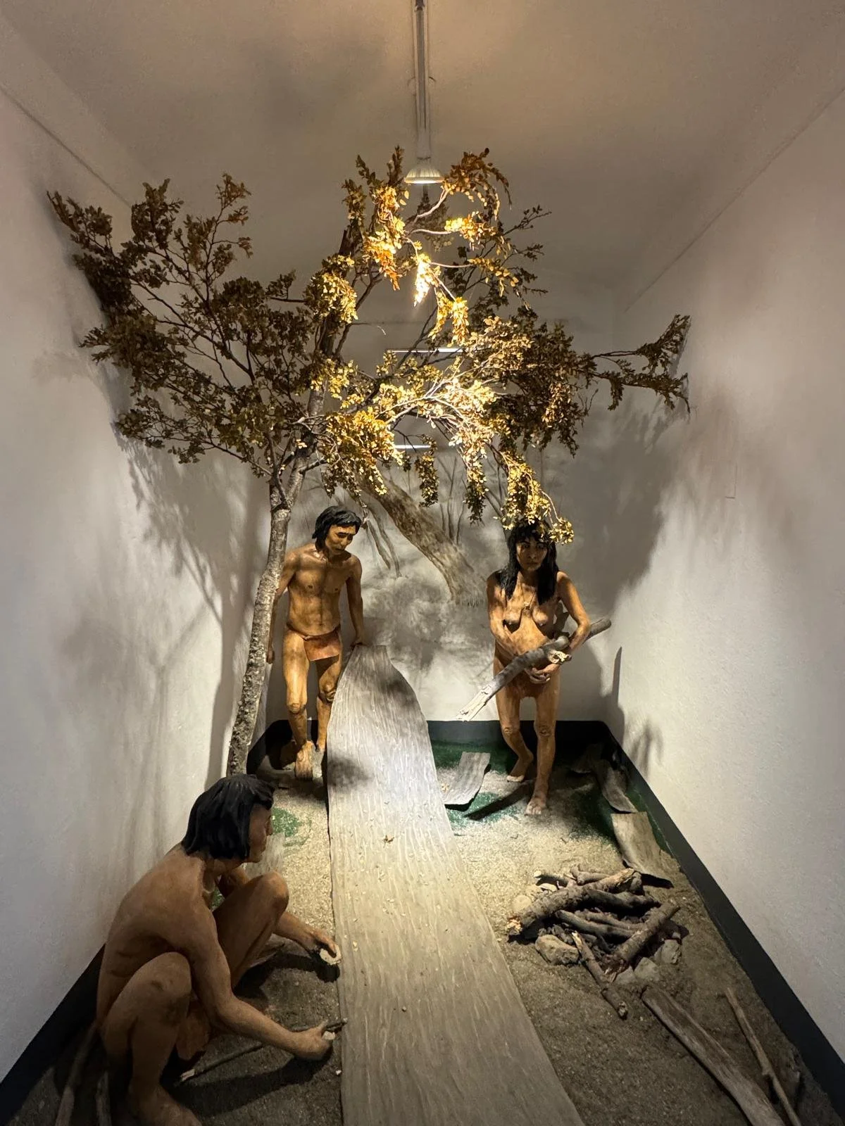 WhatsApp Image 2026-03-04 at 05.13.06 (4).jpeg