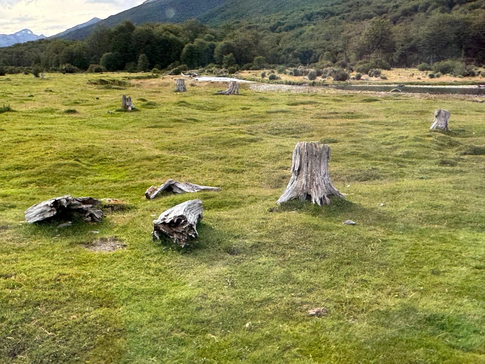 WhatsApp Image 2026-03-04 at 05.19.03 (3).jpeg