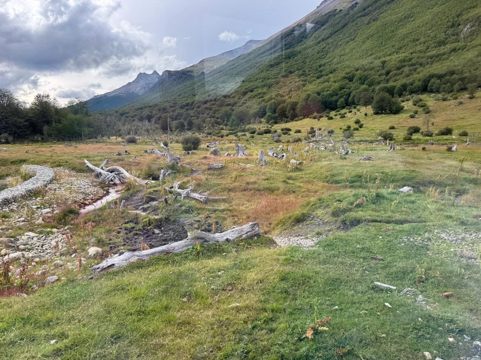 WhatsApp Image 2026-03-04 at 05.19.03 (5).jpeg