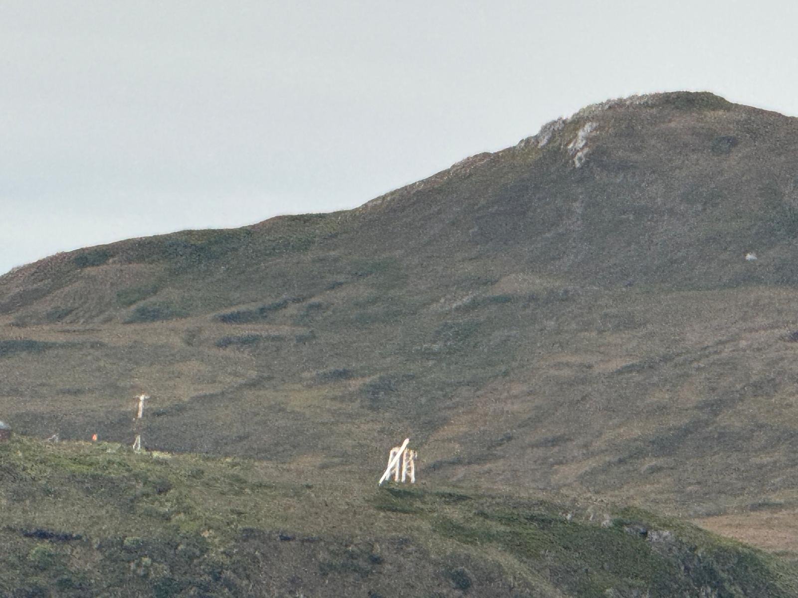 WhatsApp Image 2026-03-05 at 09.40.26 (1).jpeg