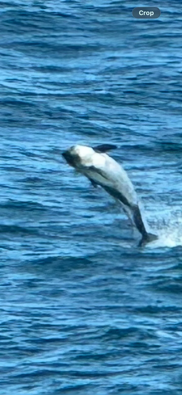 WhatsApp Image 2026-03-05 at 09.44.20.jpeg