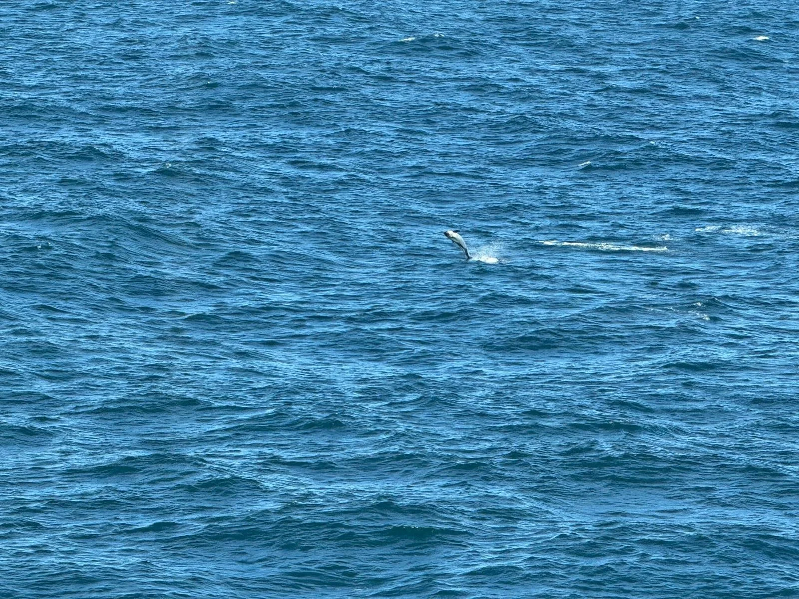 WhatsApp Image 2026-03-05 at 09.44.21.jpeg