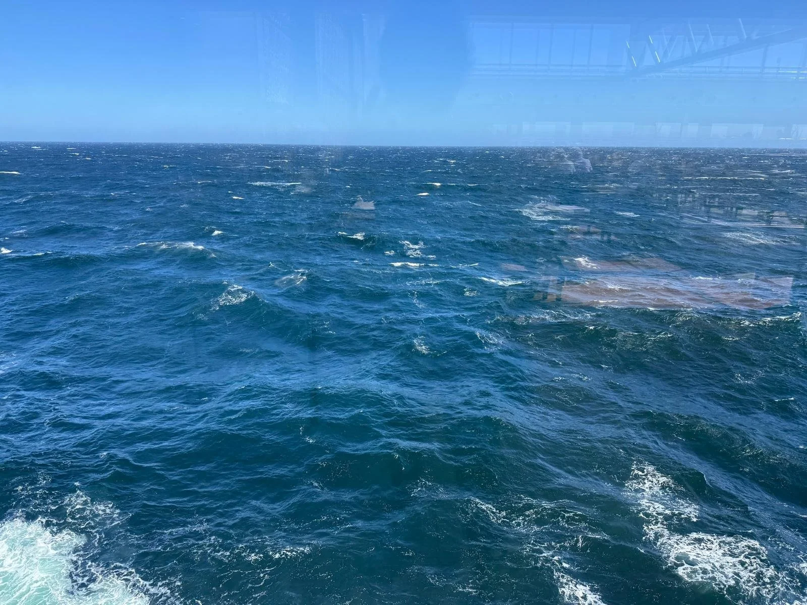 WhatsApp Image 2026-03-05 at 09.45.55.jpeg