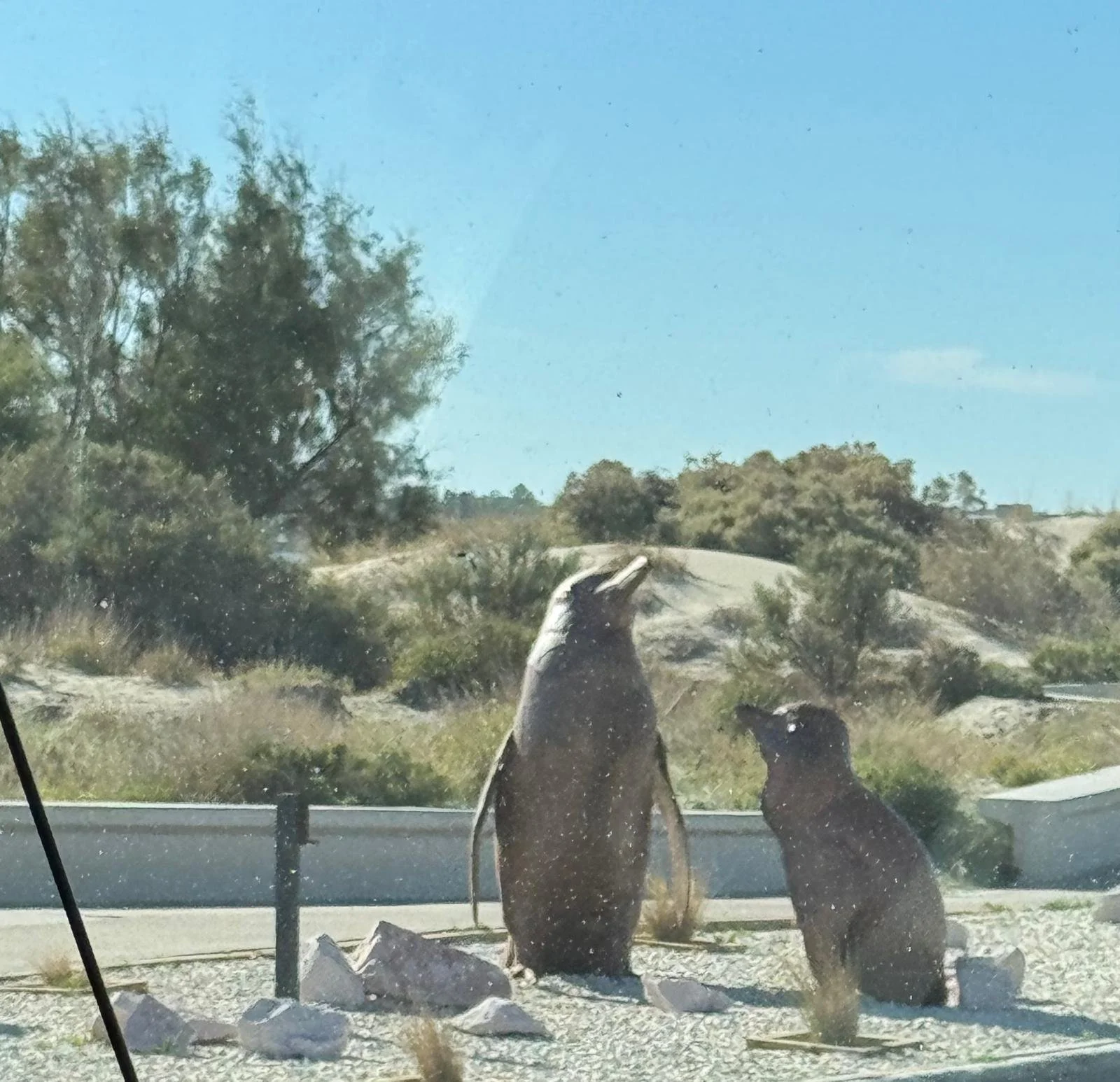 WhatsApp Image 2026-03-07 at 08.23.40.jpeg