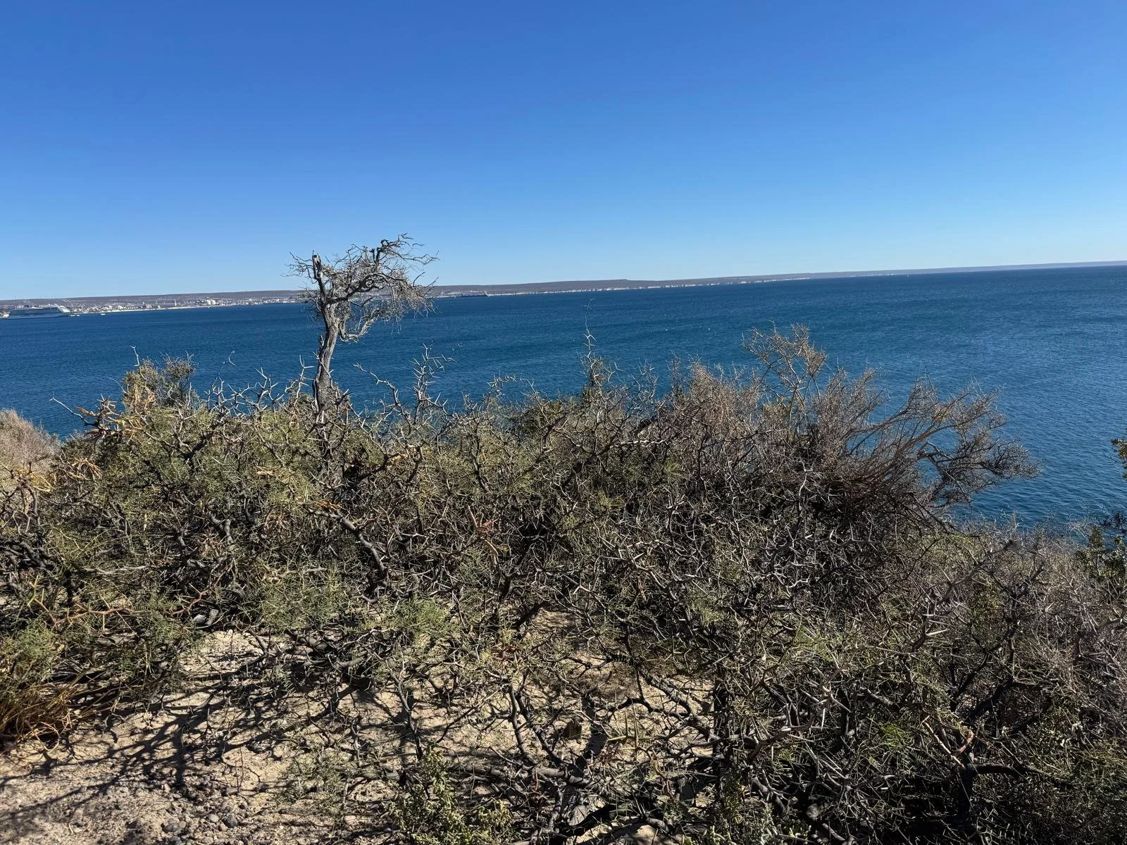 WhatsApp Image 2026-03-07 at 08.24.35 (1).jpeg