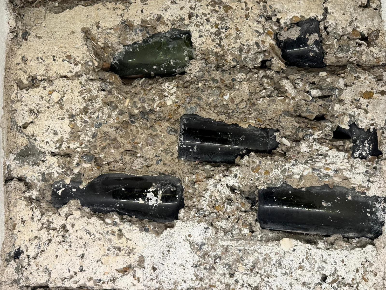 WhatsApp Image 2026-03-07 at 08.25.48.jpeg