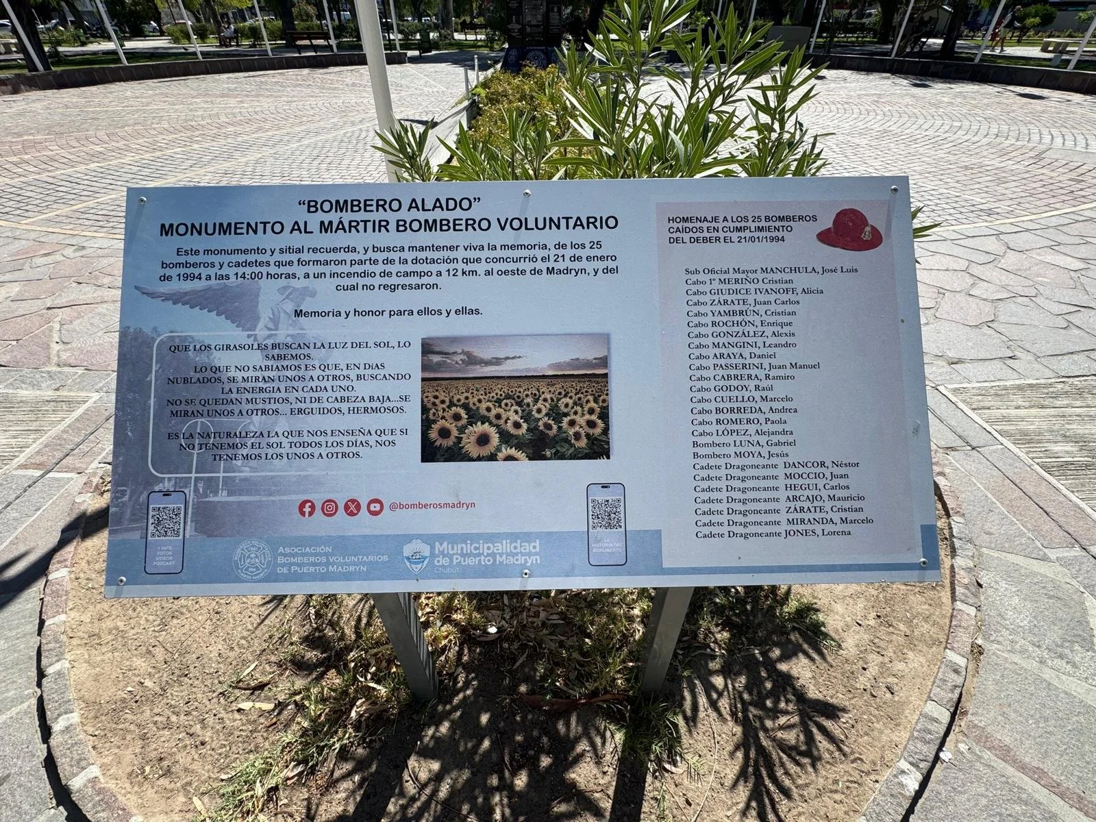 WhatsApp Image 2026-03-07 at 08.27.52 (2).jpeg