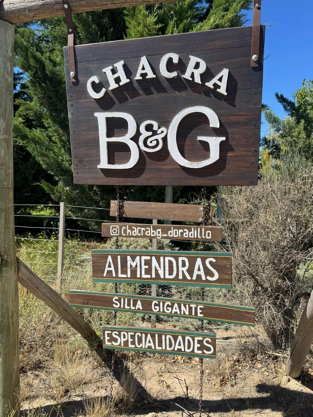 WhatsApp Image 2026-03-08 at 07.41.41.jpeg