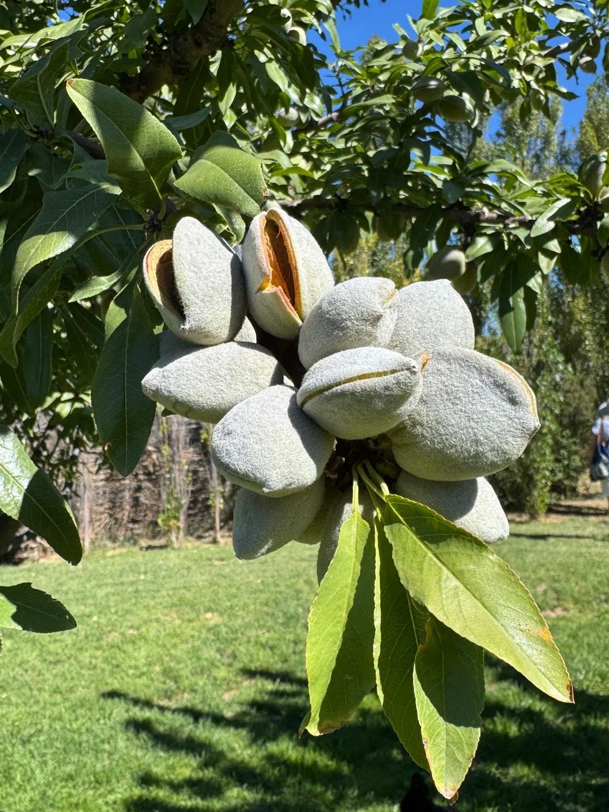 WhatsApp Image 2026-03-08 at 07.41.44 (1).jpeg