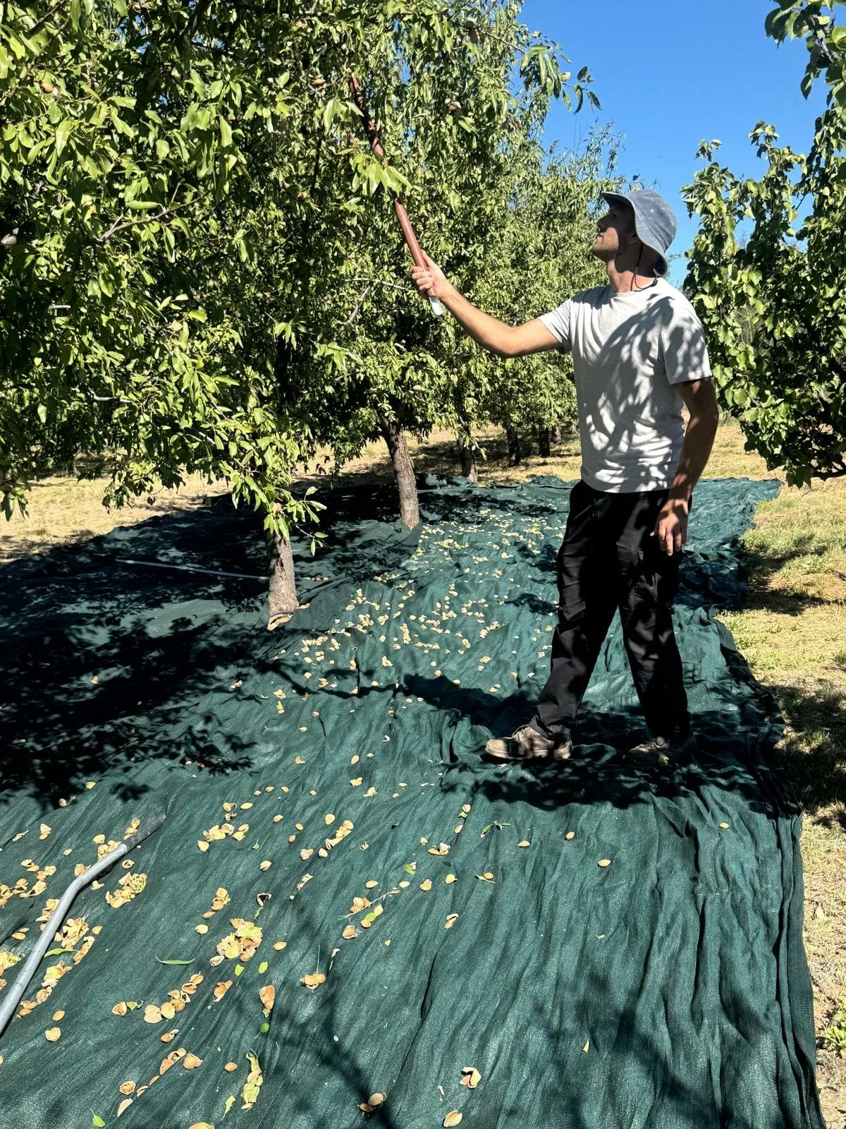 WhatsApp Image 2026-03-08 at 07.41.43.jpeg