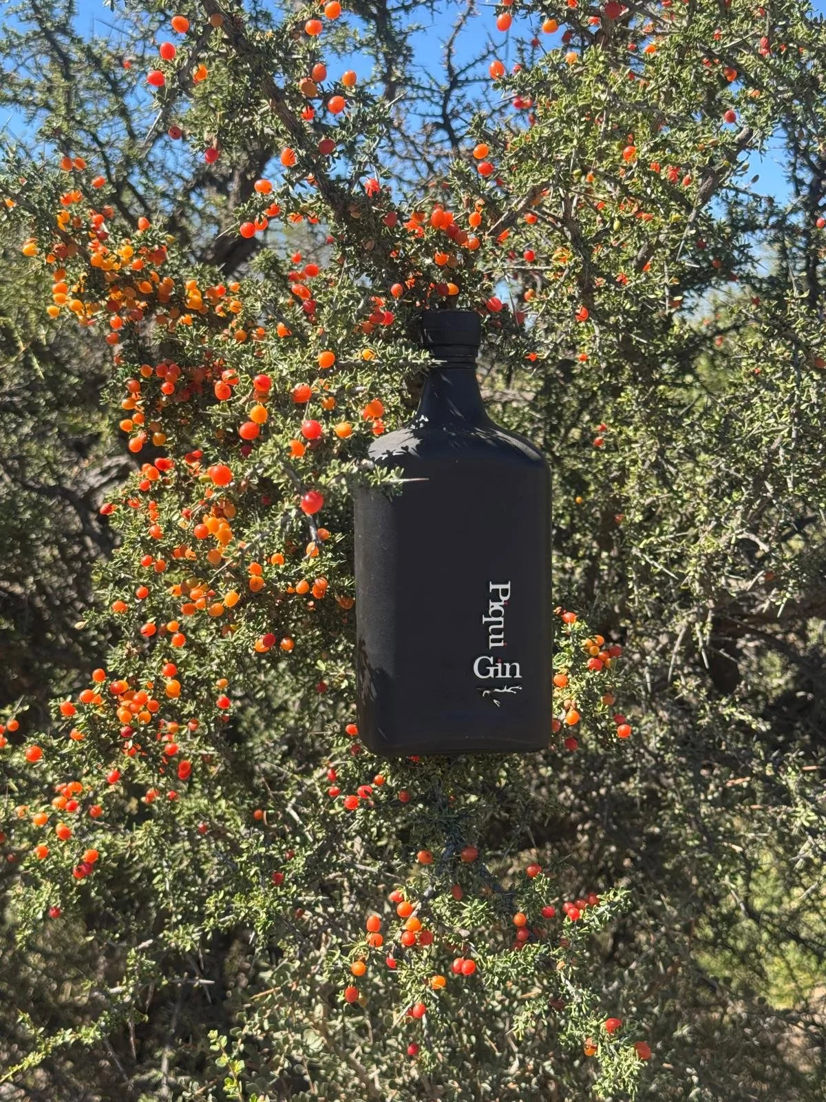 WhatsApp Image 2026-03-08 at 07.41.42 (3).jpeg