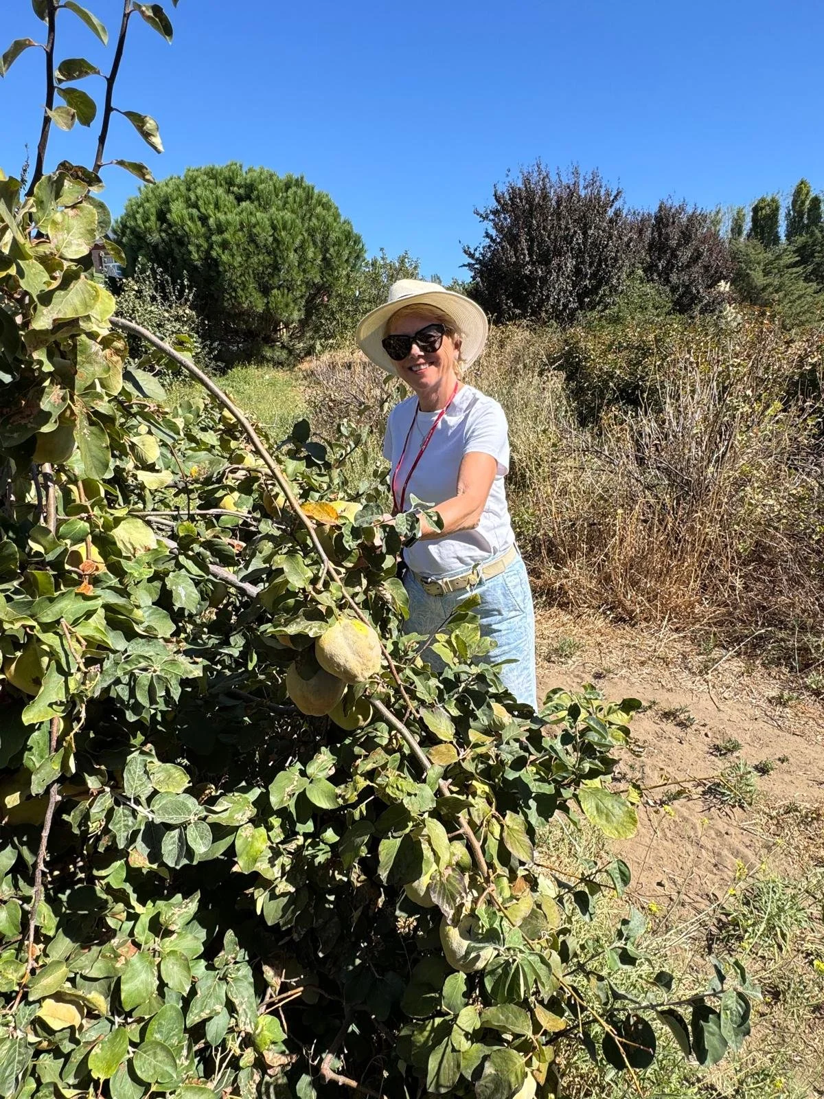 WhatsApp Image 2026-03-08 at 07.41.42 (1).jpeg