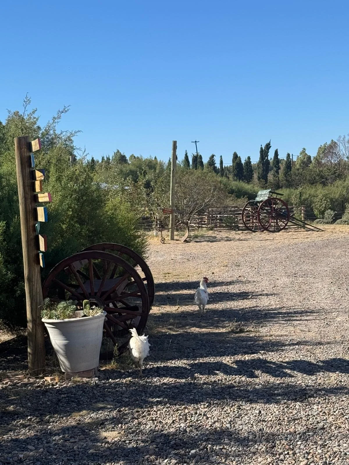 WhatsApp Image 2026-03-08 at 07.43.13 (3).jpeg