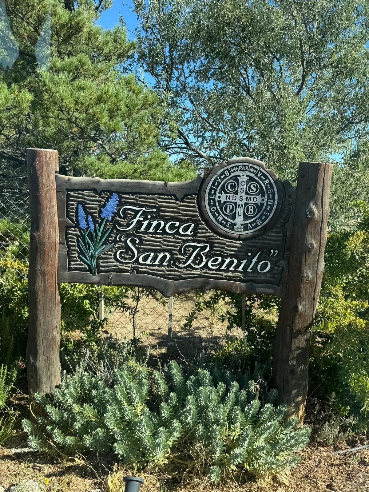 WhatsApp Image 2026-03-08 at 07.43.13 (4).jpeg