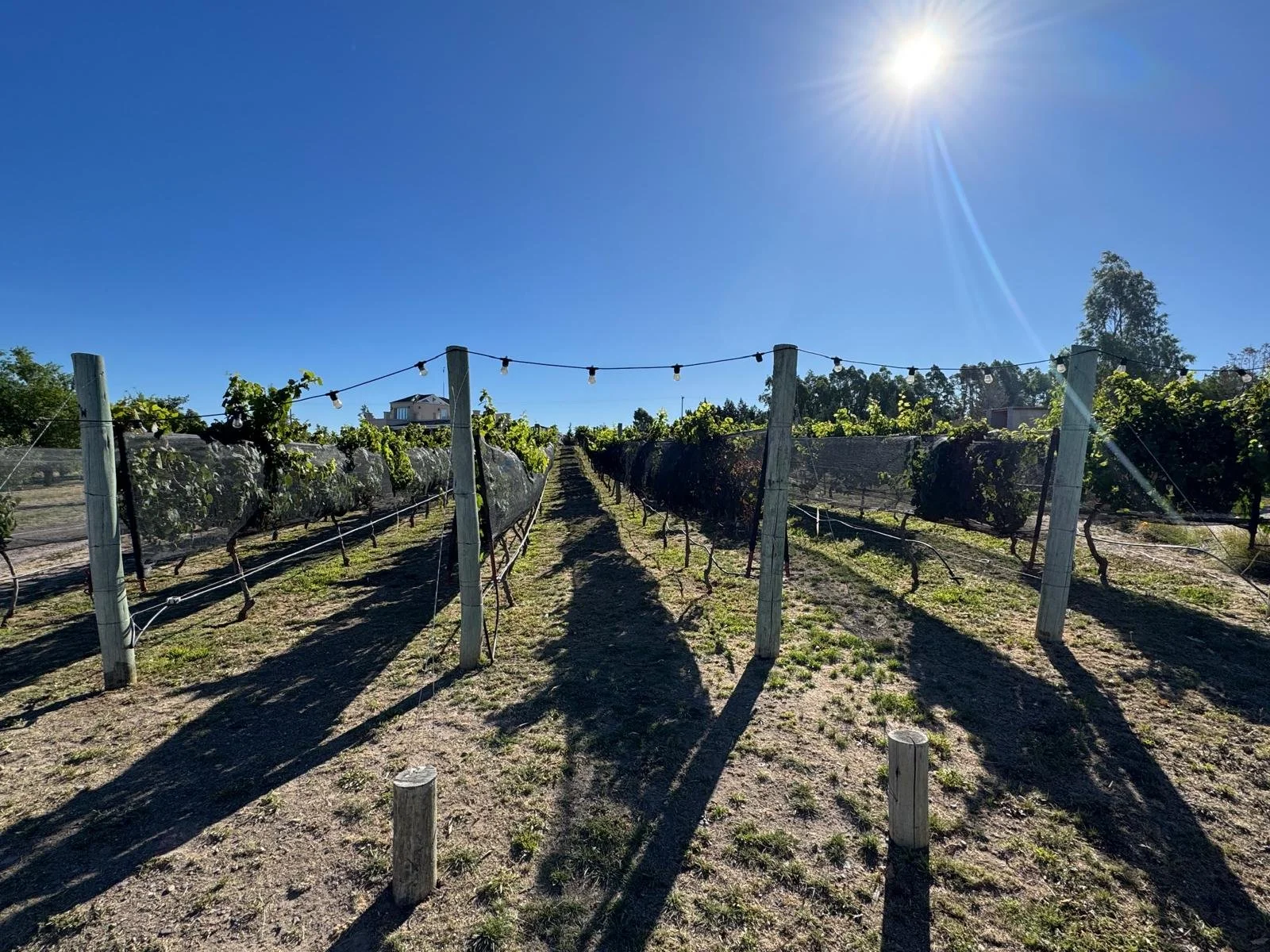 WhatsApp Image 2026-03-08 at 07.44.36.jpeg