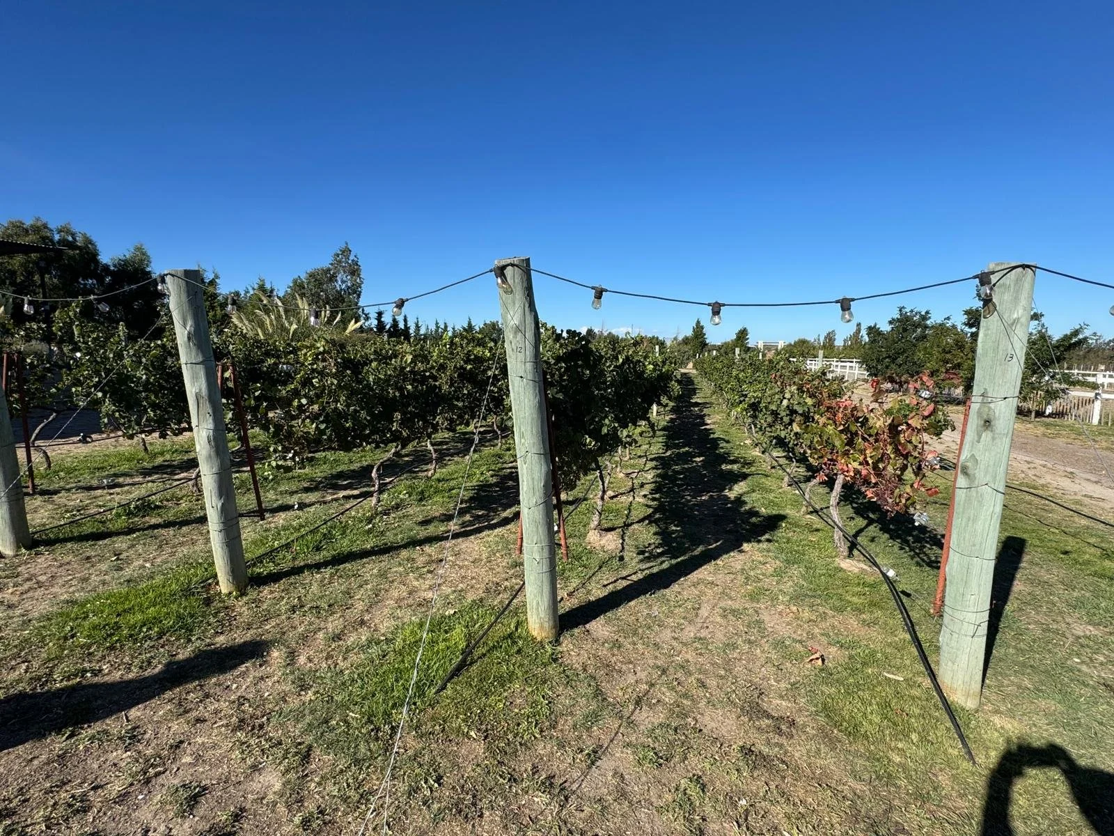 WhatsApp Image 2026-03-08 at 07.44.35 (2).jpeg