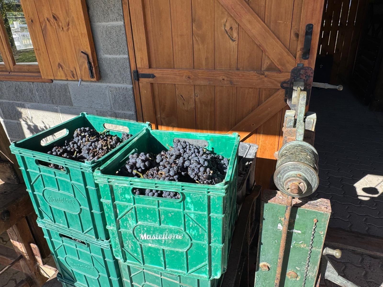 WhatsApp Image 2026-03-08 at 07.44.35.jpeg