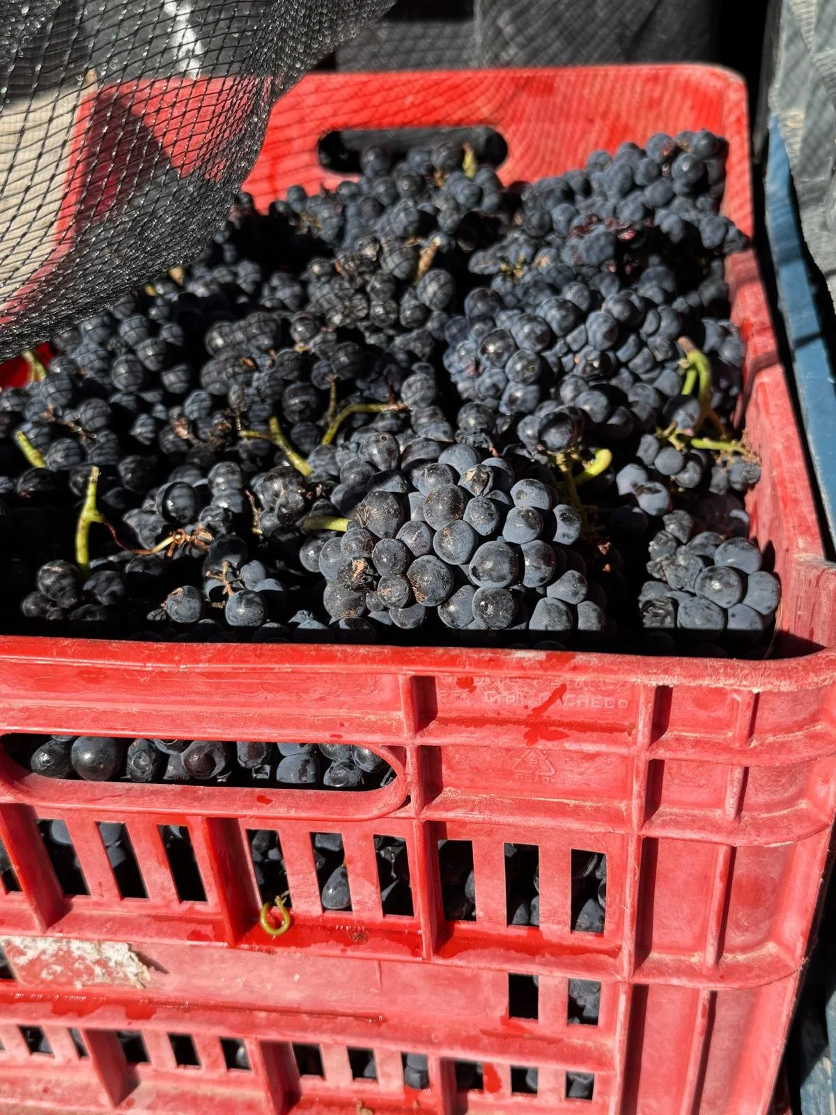 WhatsApp Image 2026-03-08 at 07.44.34.jpeg