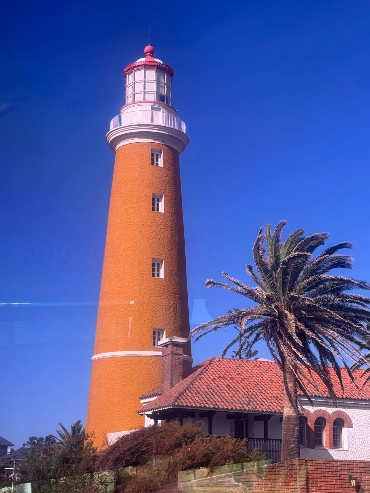 WhatsApp Image 2026-03-09 at 10.10.24.jpeg