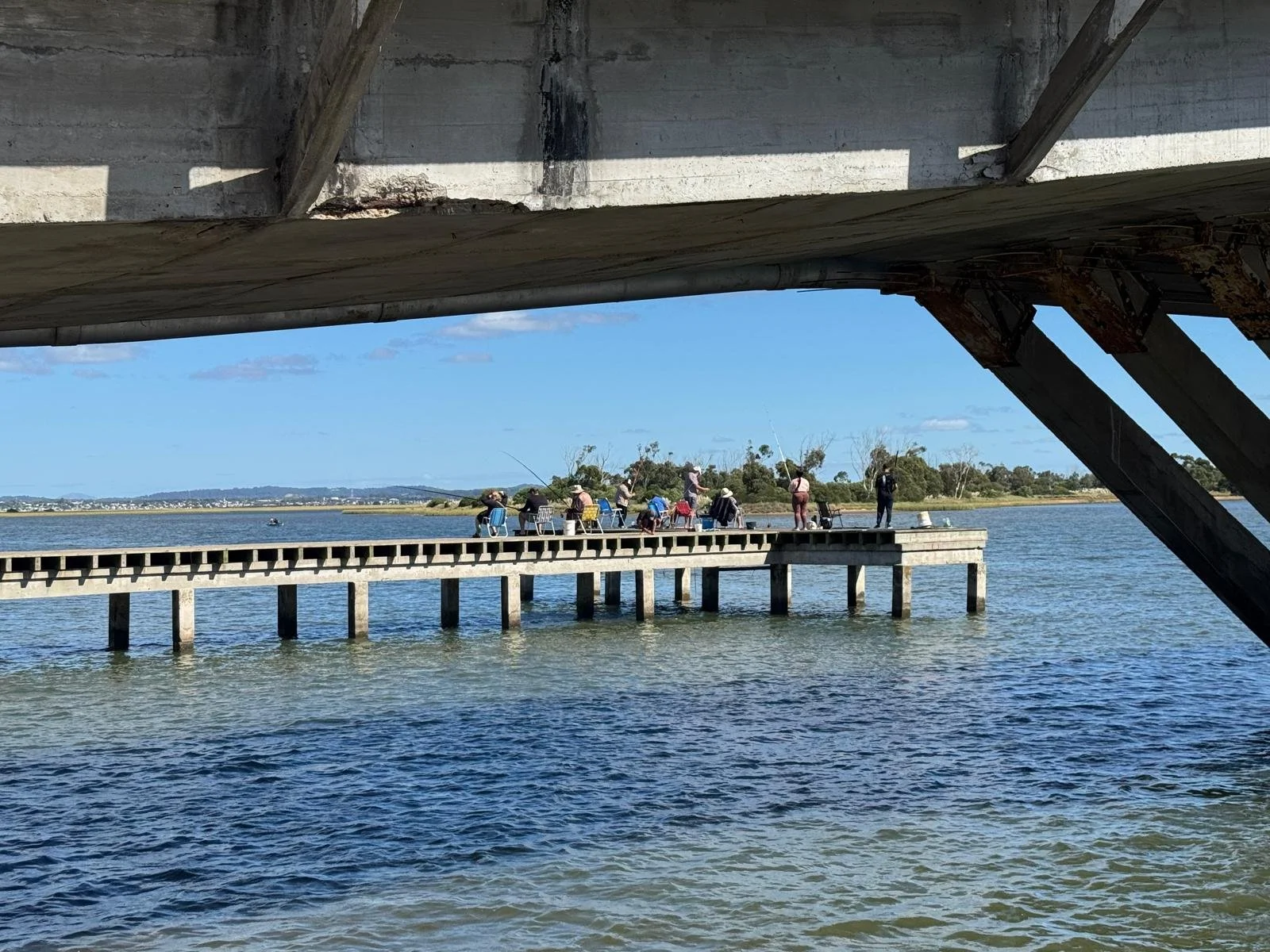 WhatsApp Image 2026-03-09 at 10.13.00 (7).jpeg