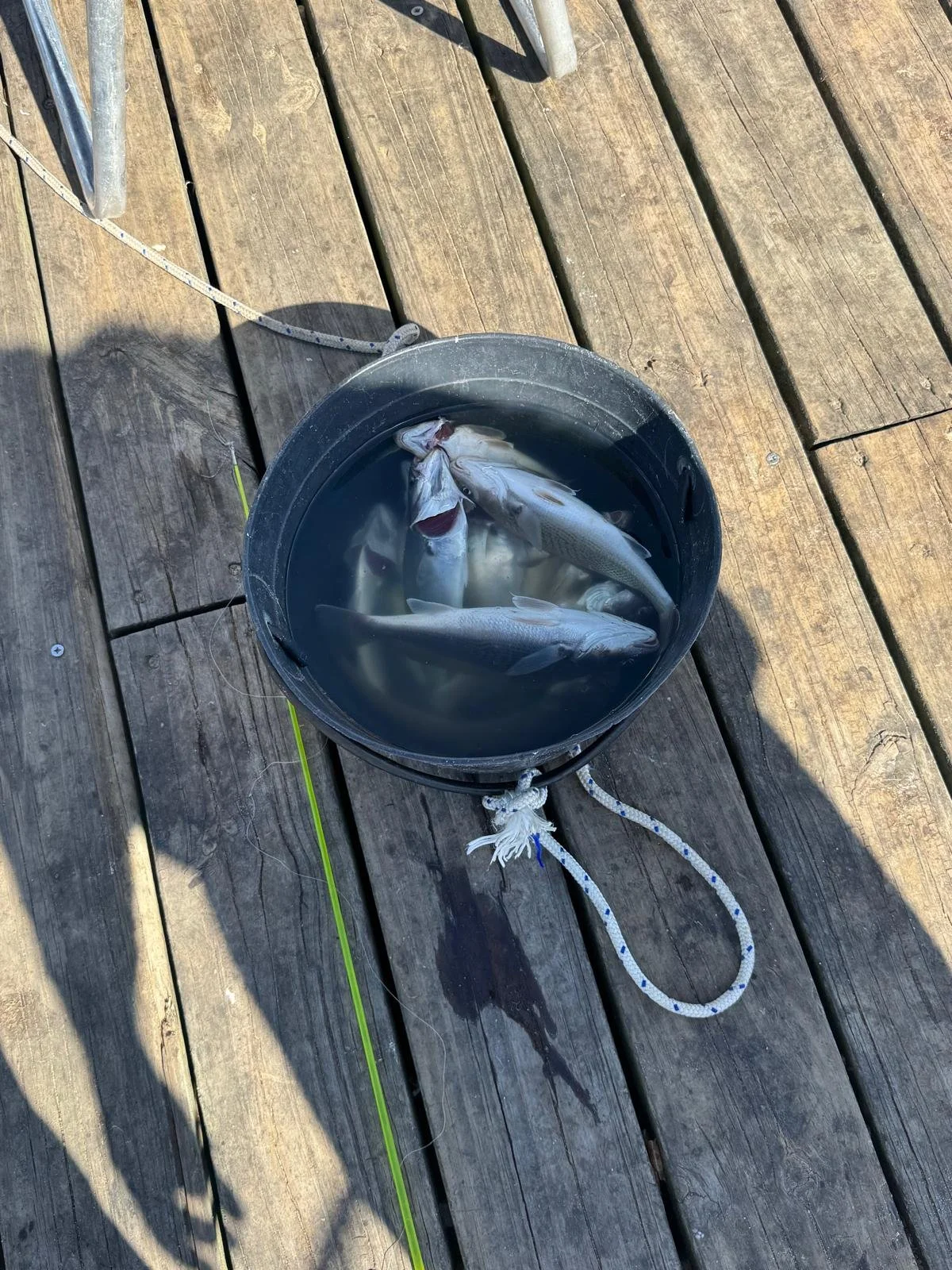 WhatsApp Image 2026-03-09 at 10.13.00 (5).jpeg