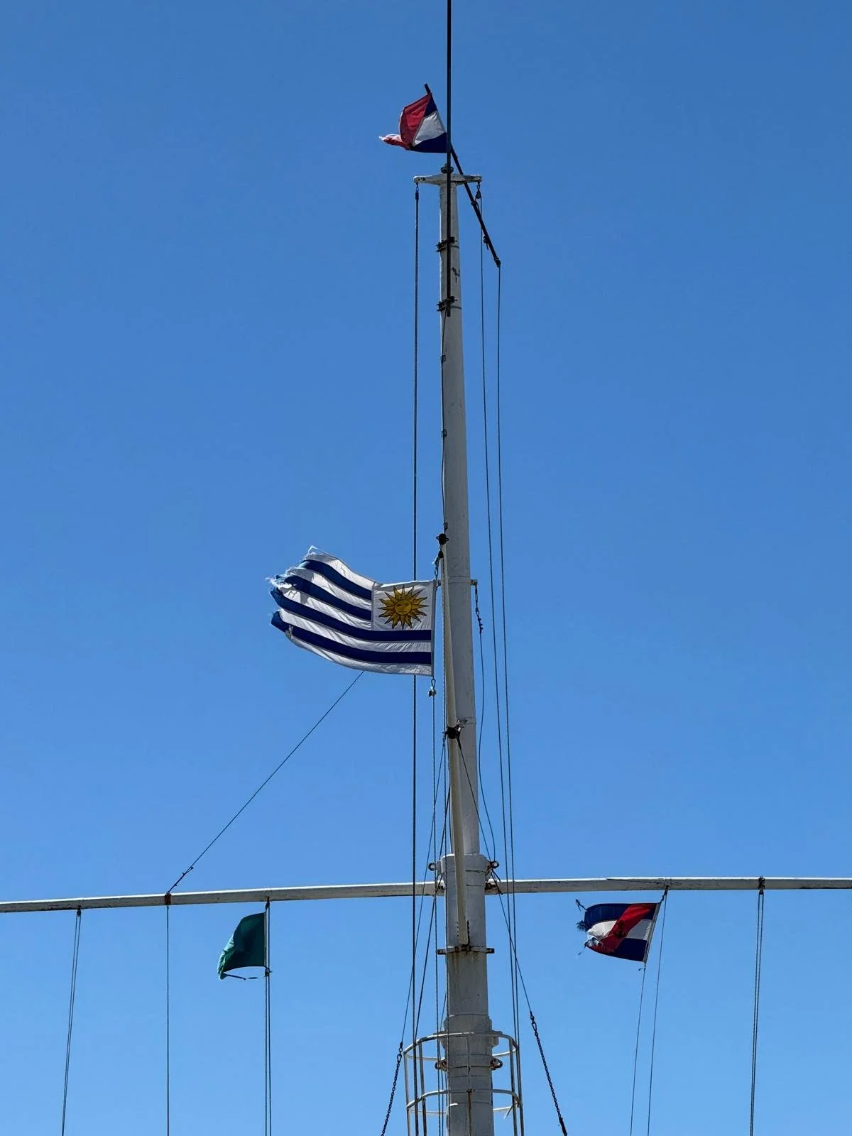 WhatsApp Image 2026-03-09 at 10.17.51.jpeg