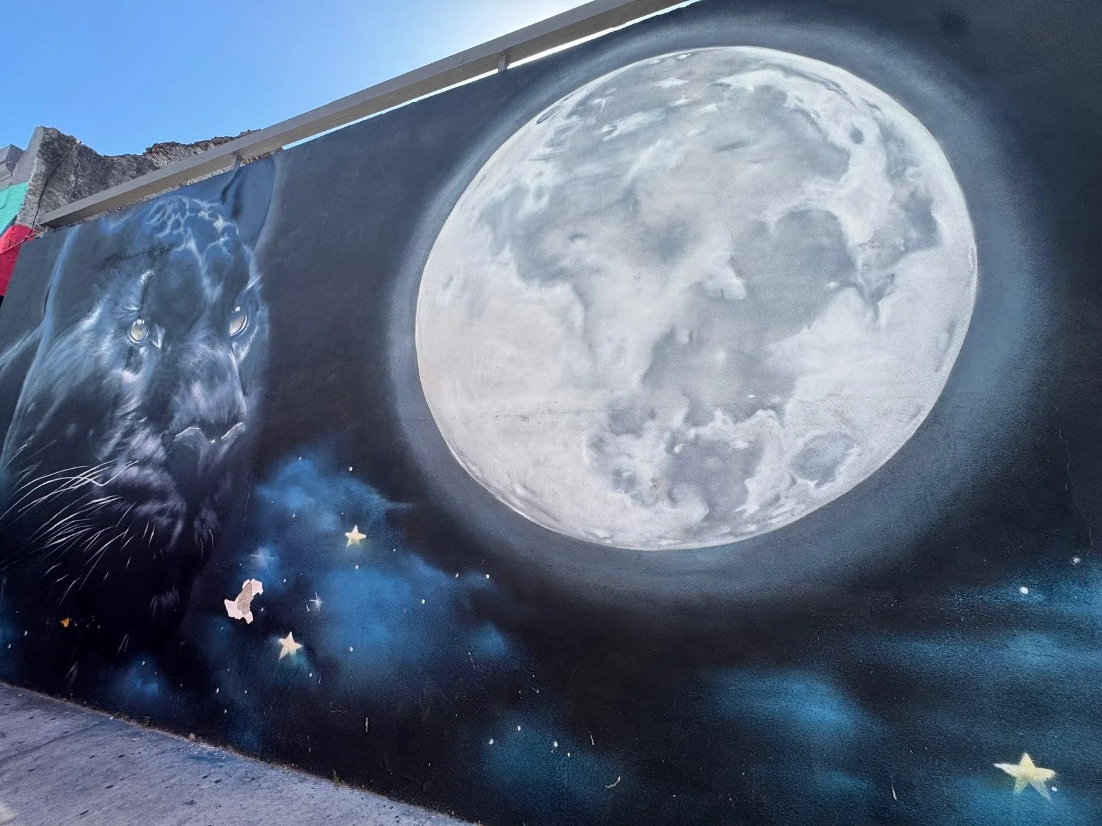 WhatsApp Image 2026-03-10 at 04.33.43 (1).jpeg