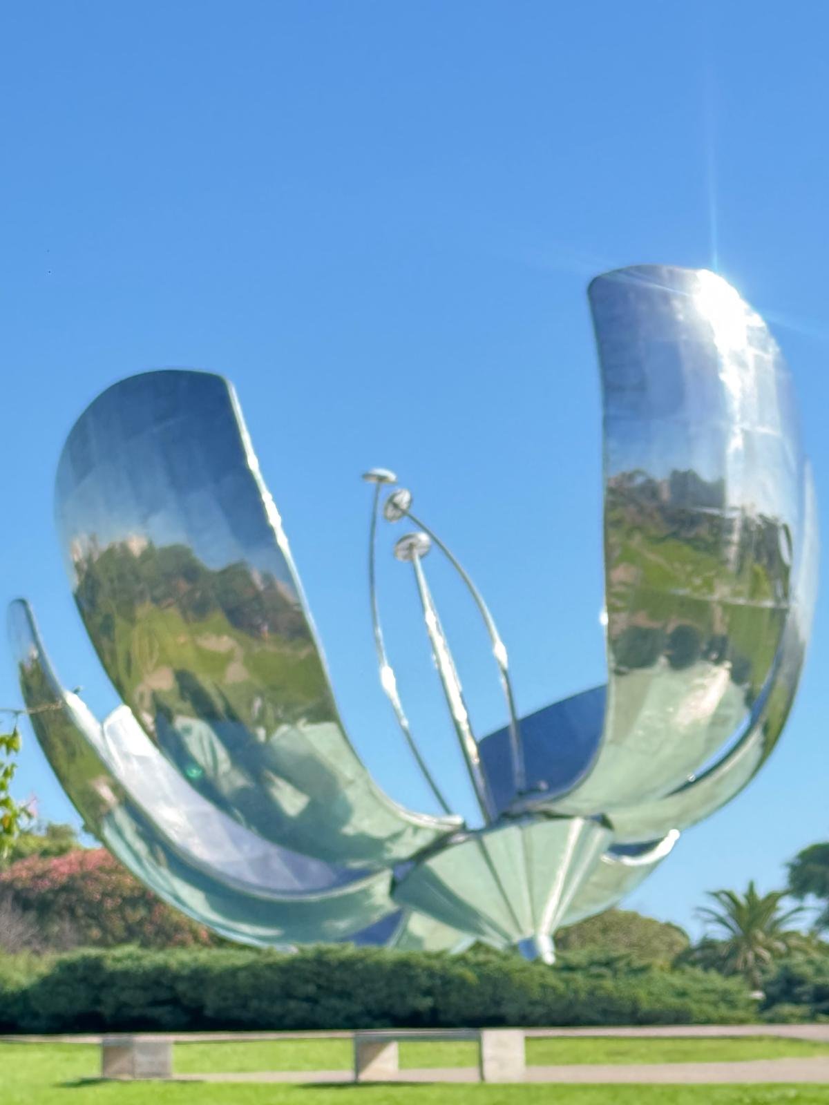 WhatsApp Image 2026-03-12 at 03.43.36.jpeg