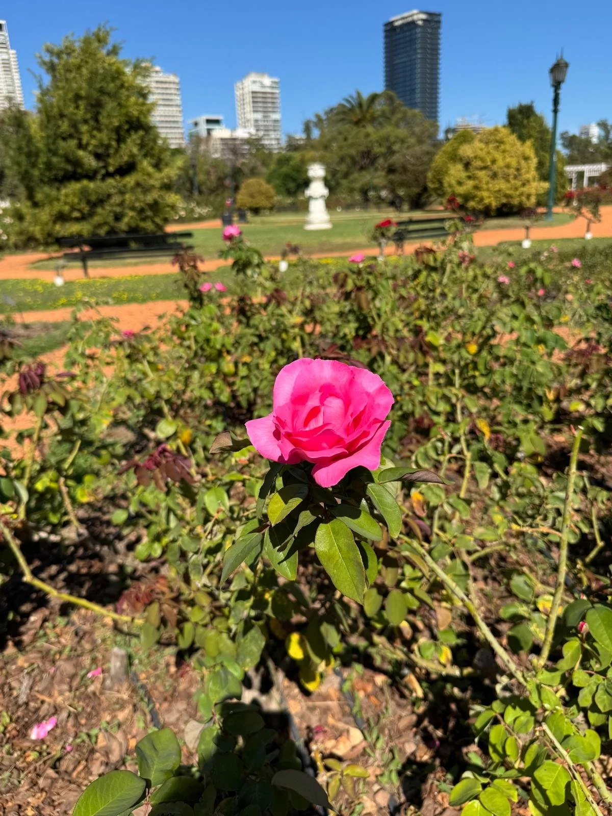 WhatsApp Image 2026-03-12 at 03.45.09 (1).jpeg