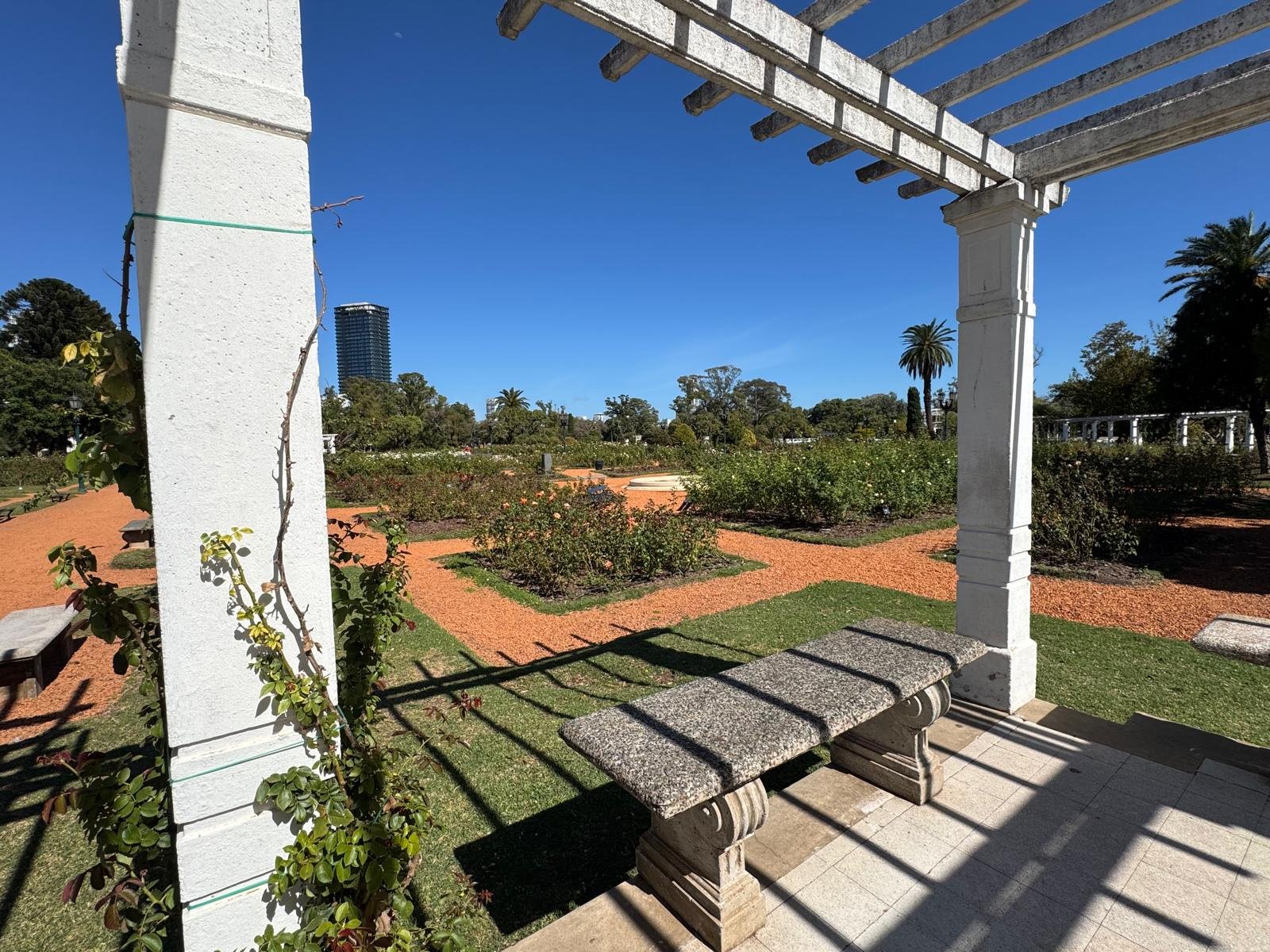 WhatsApp Image 2026-03-12 at 03.45.09.jpeg