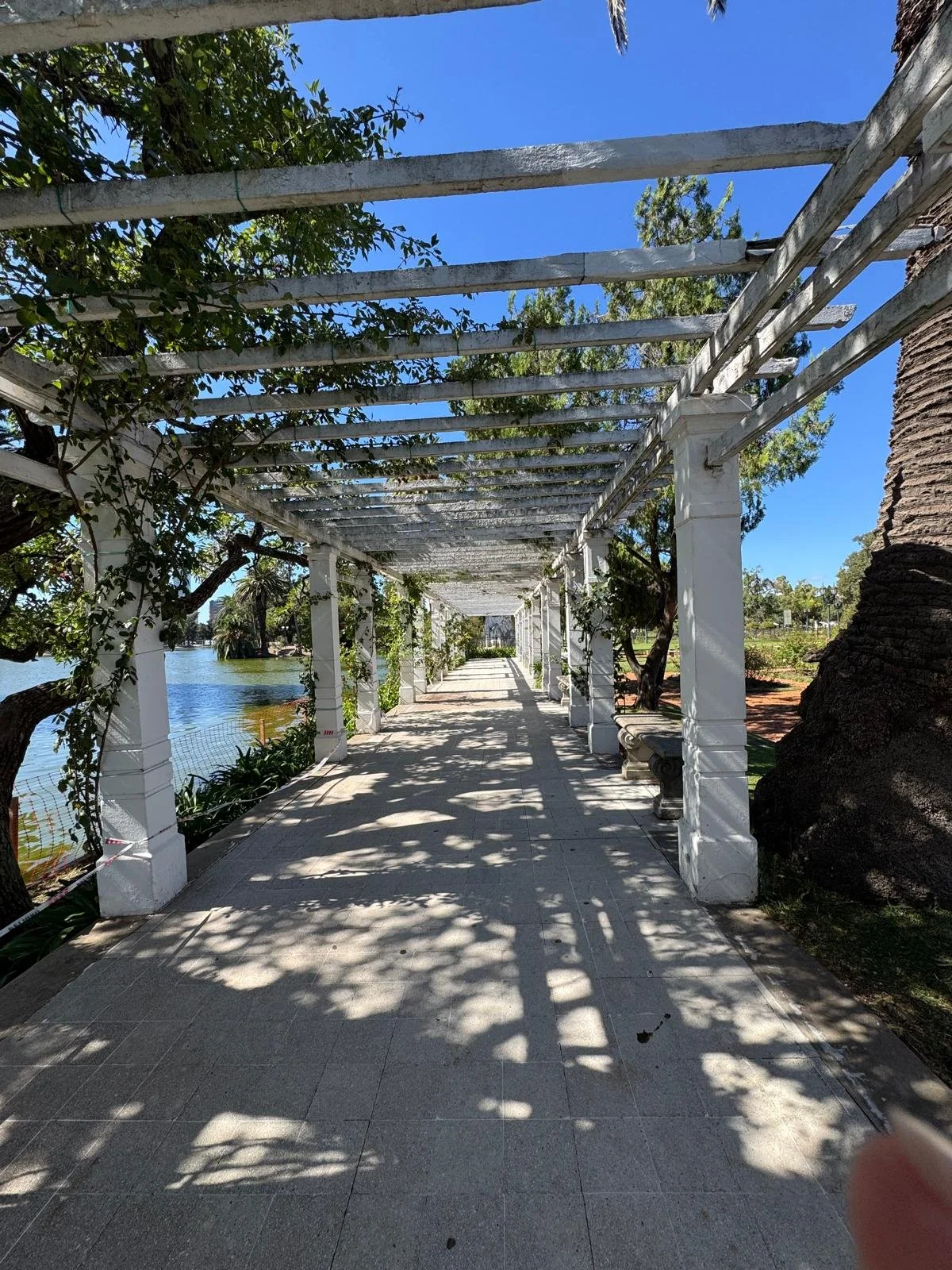 WhatsApp Image 2026-03-12 at 03.45.08 (3).jpeg