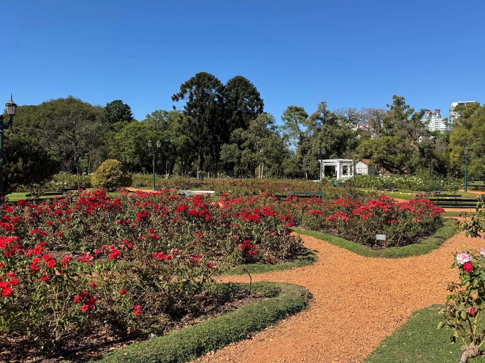 WhatsApp Image 2026-03-12 at 03.45.08 (1).jpeg