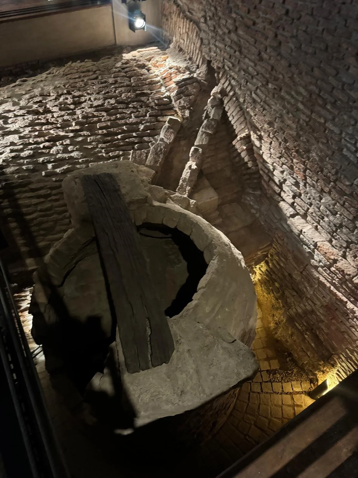 WhatsApp Image 2026-03-12 at 14.37.07.jpeg