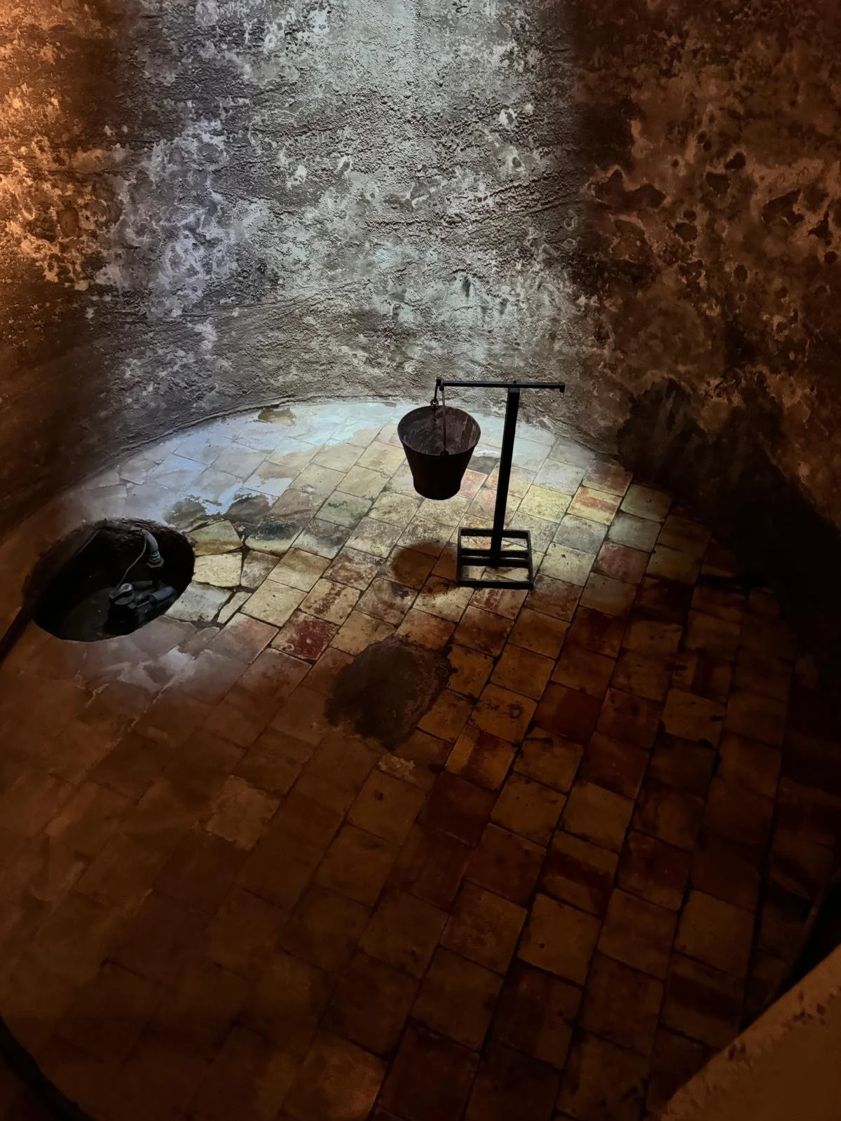 WhatsApp Image 2026-03-12 at 14.37.07 (7).jpeg